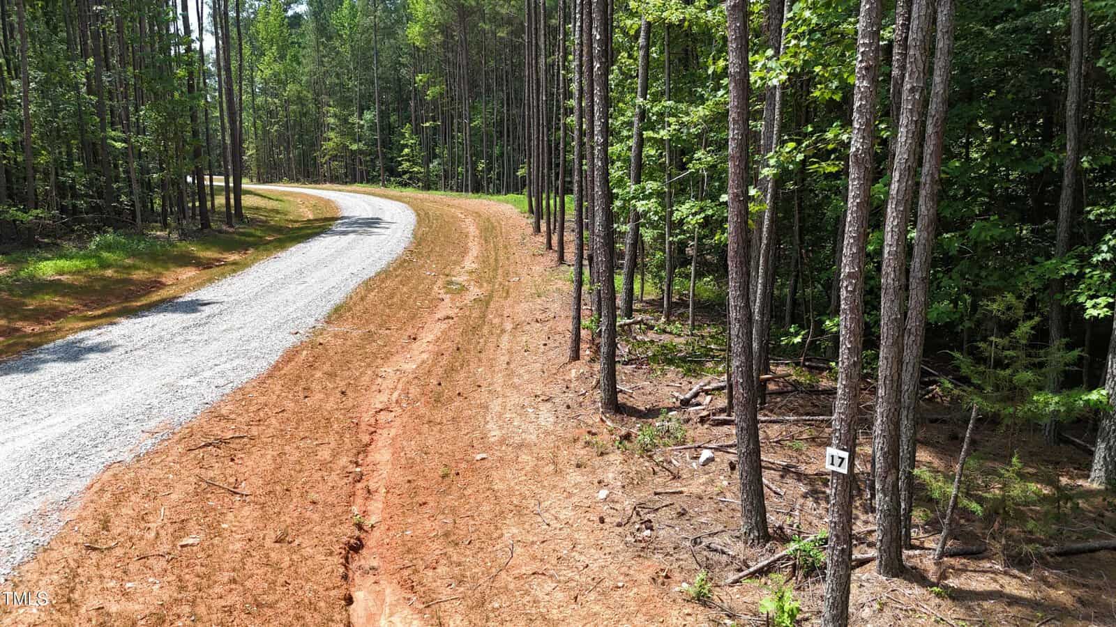 A gravel road curves through a wooded area with tall, thin trees. A small sign with the number 17 is attached to one of the trees on the right side of the image. The ground is mostly bare with patches of grass.