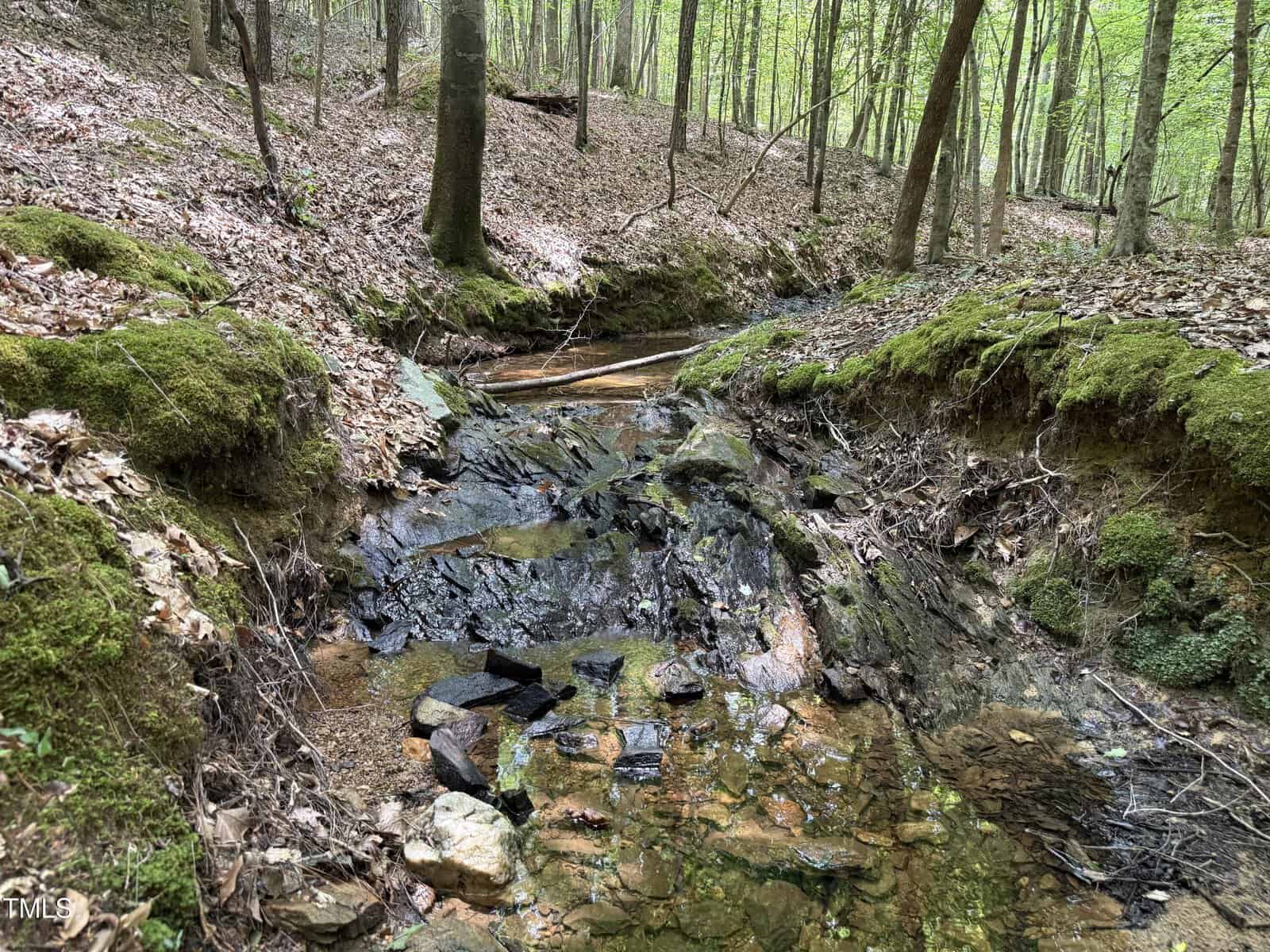 A small rocky creek flows through a forest with moss-covered banks and trees. Fallen leaves cover the ground, and green foliage is visible in the background. The sunlight filters through the trees.