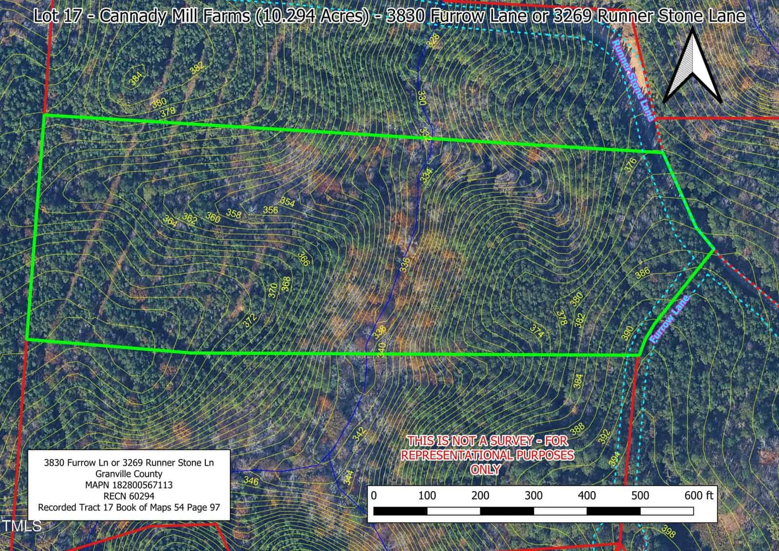Aerial map with topographic lines showing a 10.294-acre land parcel outlined in green, labeled Lot 17, Cannady Mill Farms. The map includes roads, scale bar, and disclaimer stating it's for representational purposes only.