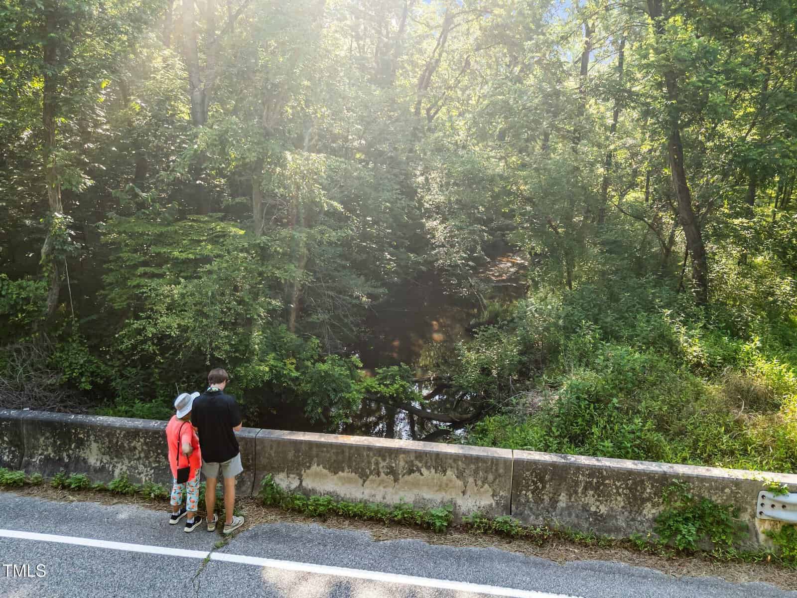 Two people, one adult and one child, stand on the side of a road near a low concrete wall, looking at a wooded area with a creek running through dense green trees in bright daylight.