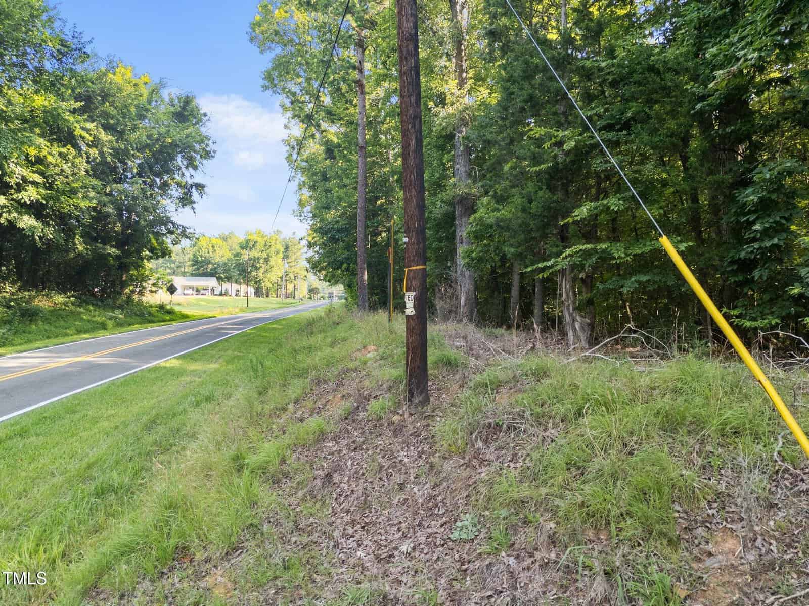 A paved two-lane road runs alongside a grassy, slightly sloped area with trees. A wooden utility pole with wires stands near the edge of the road. A few houses are visible in the distance.