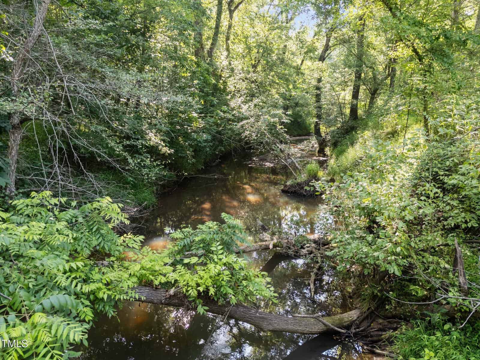 A shallow stream flows through a wooded area filled with dense green foliage and trees. Fallen branches and logs partially block the water, and sunlight filters through the leaves, creating dappled light on the scene.