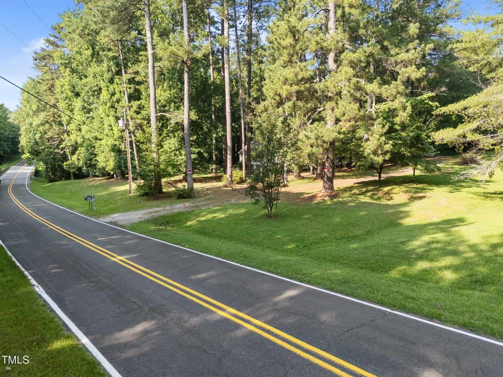 A two-lane asphalt road with double yellow lines curves through a green, grassy area bordered by tall pine trees and scattered shrubs on a sunny day.