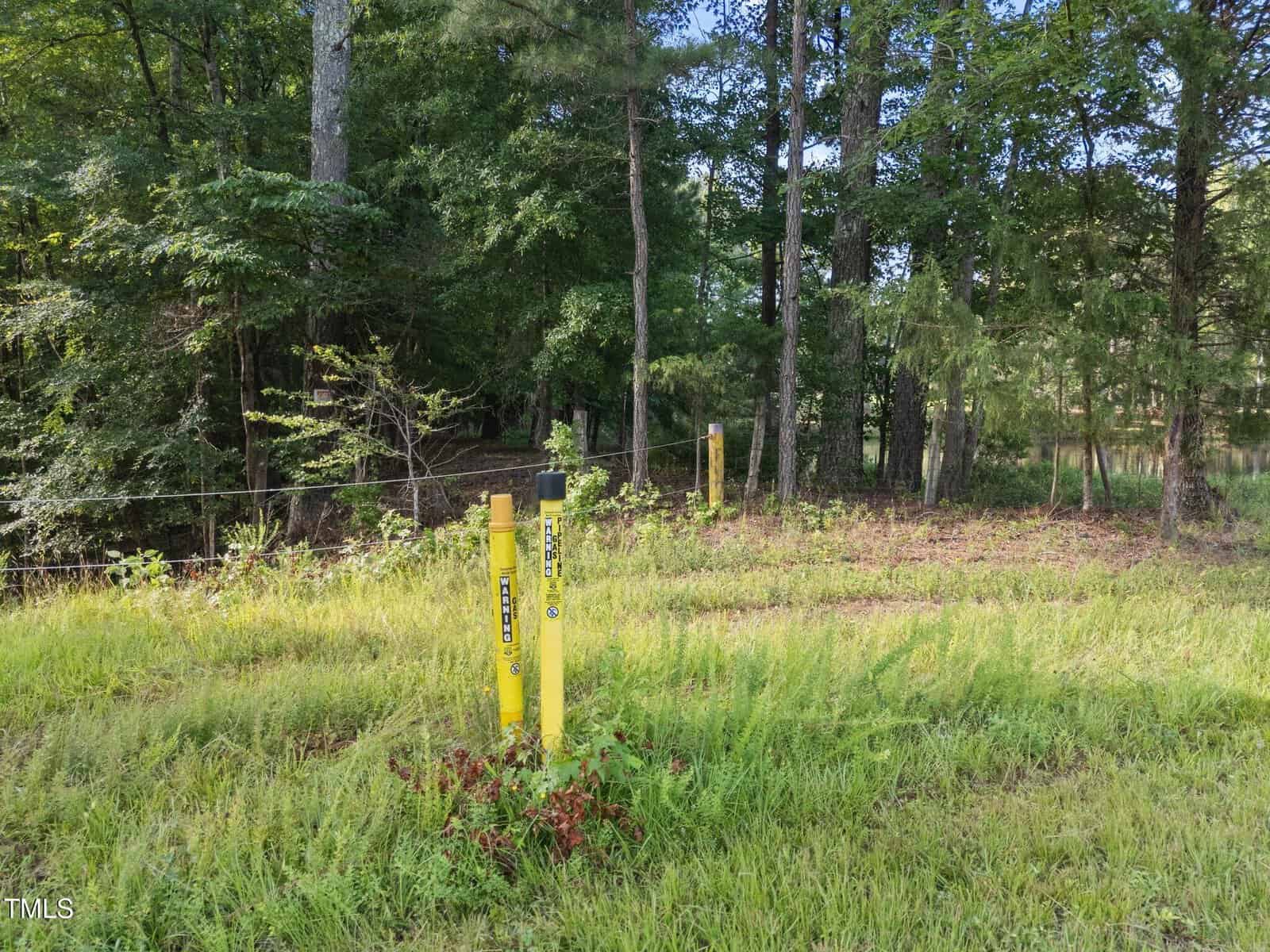 Yellow natural gas pipeline markers stand in grassy roadside area with trees and a forested background. A thin wire or fence runs horizontally behind the markers. Sunlight filters through the leaves.