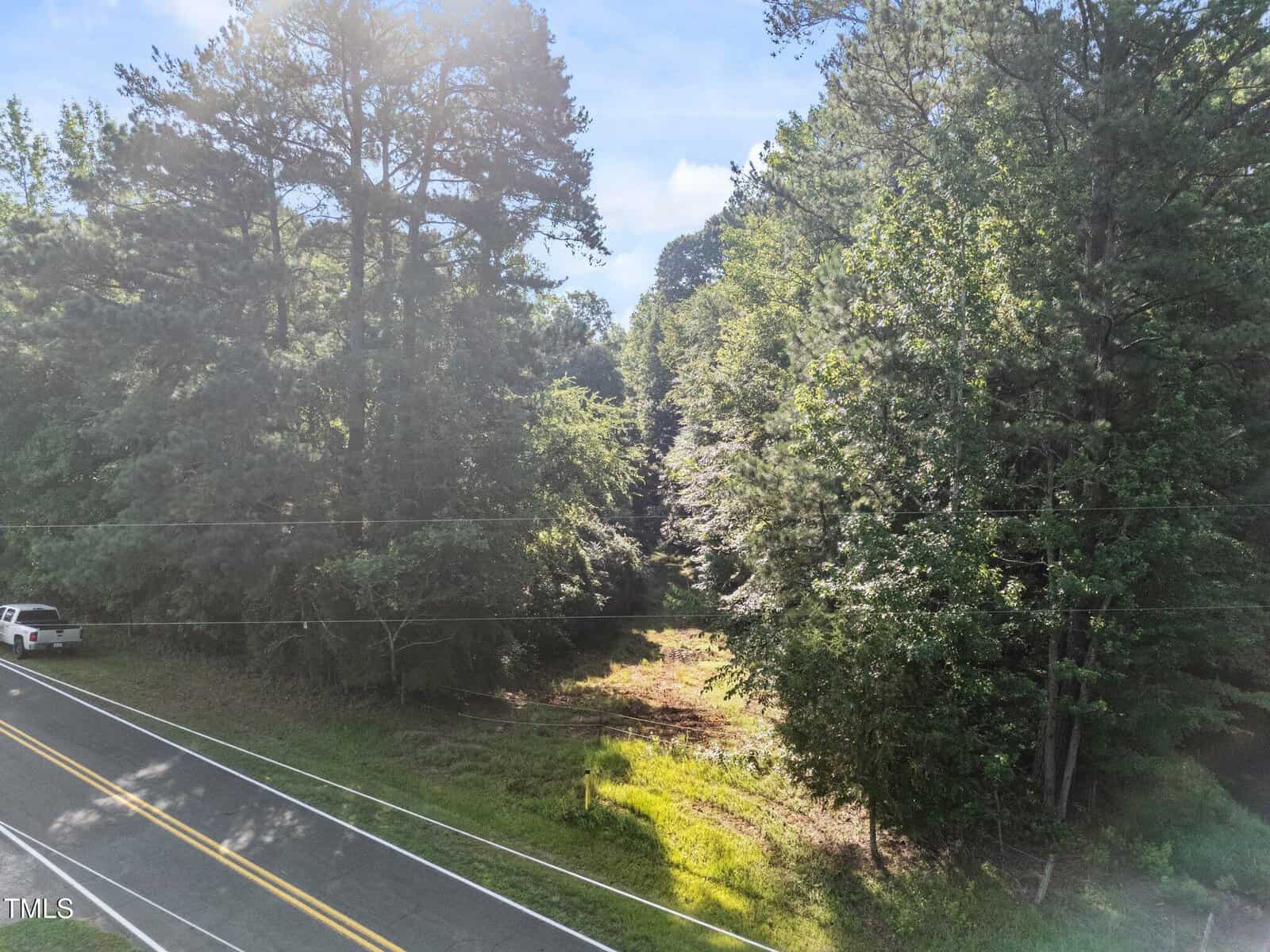 A two-lane road runs alongside a forested area with tall trees and dense greenery. A white pickup truck is parked on the left side near the road, and sunlight filters through the trees.