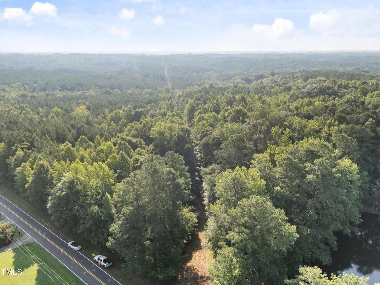 Aerial view of a dense forest with a narrow dirt path running through the center. A road and two parked vehicles are visible at the forest's edge in the lower left corner. The sky is partly cloudy.