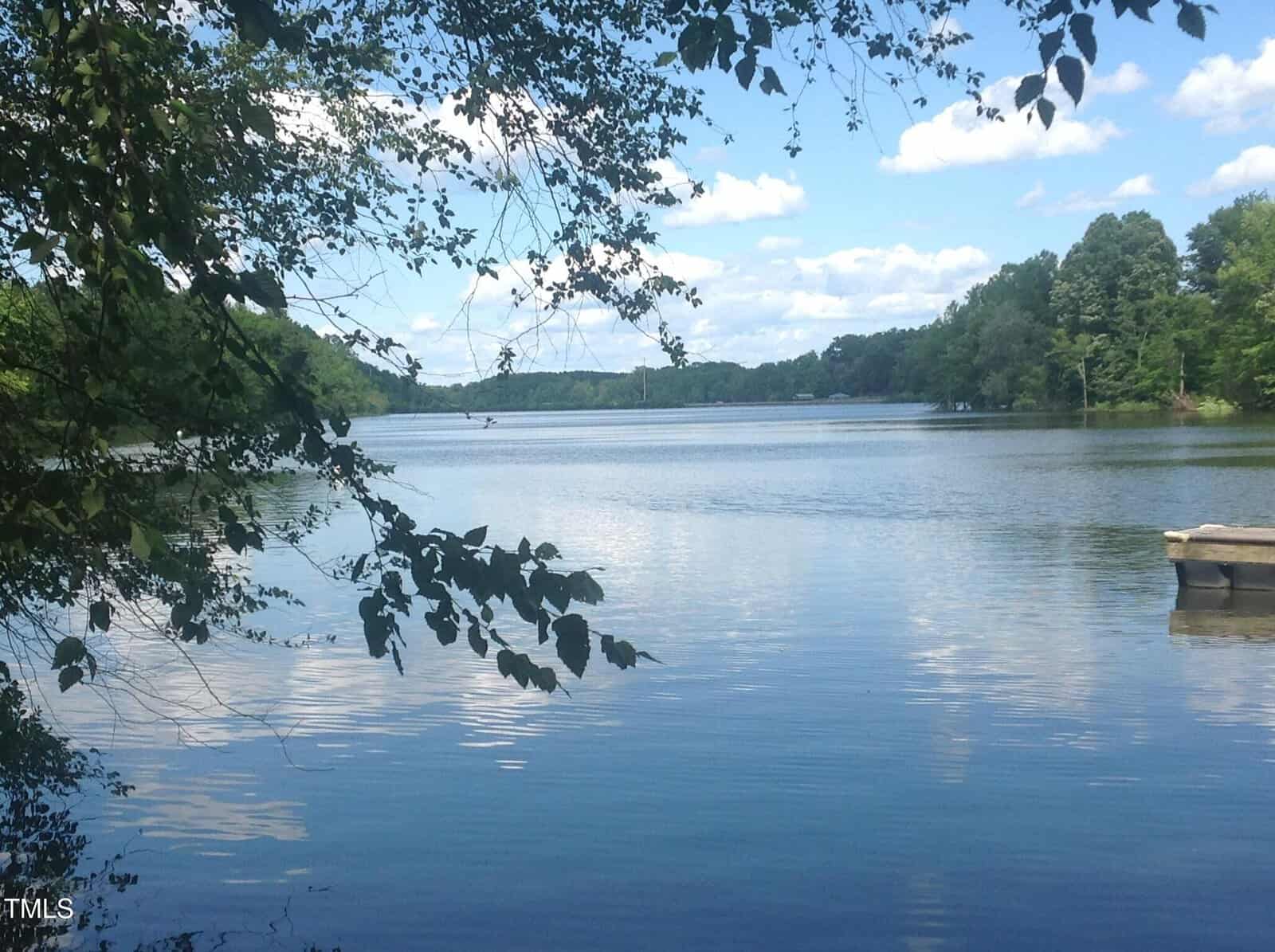 A calm lake surrounded by green trees under a blue sky with scattered clouds. Some tree branches hang over the water in the foreground, and a wooden dock is visible on the right side of the image.