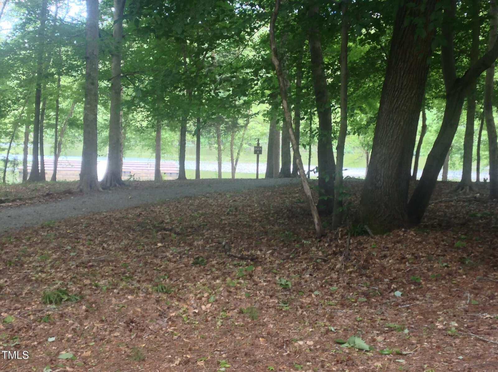 A dirt path winds through a wooded area with tall trees and patches of green leaves. Sunlight filters through the branches, and a body of water is visible in the background beyond the trees.