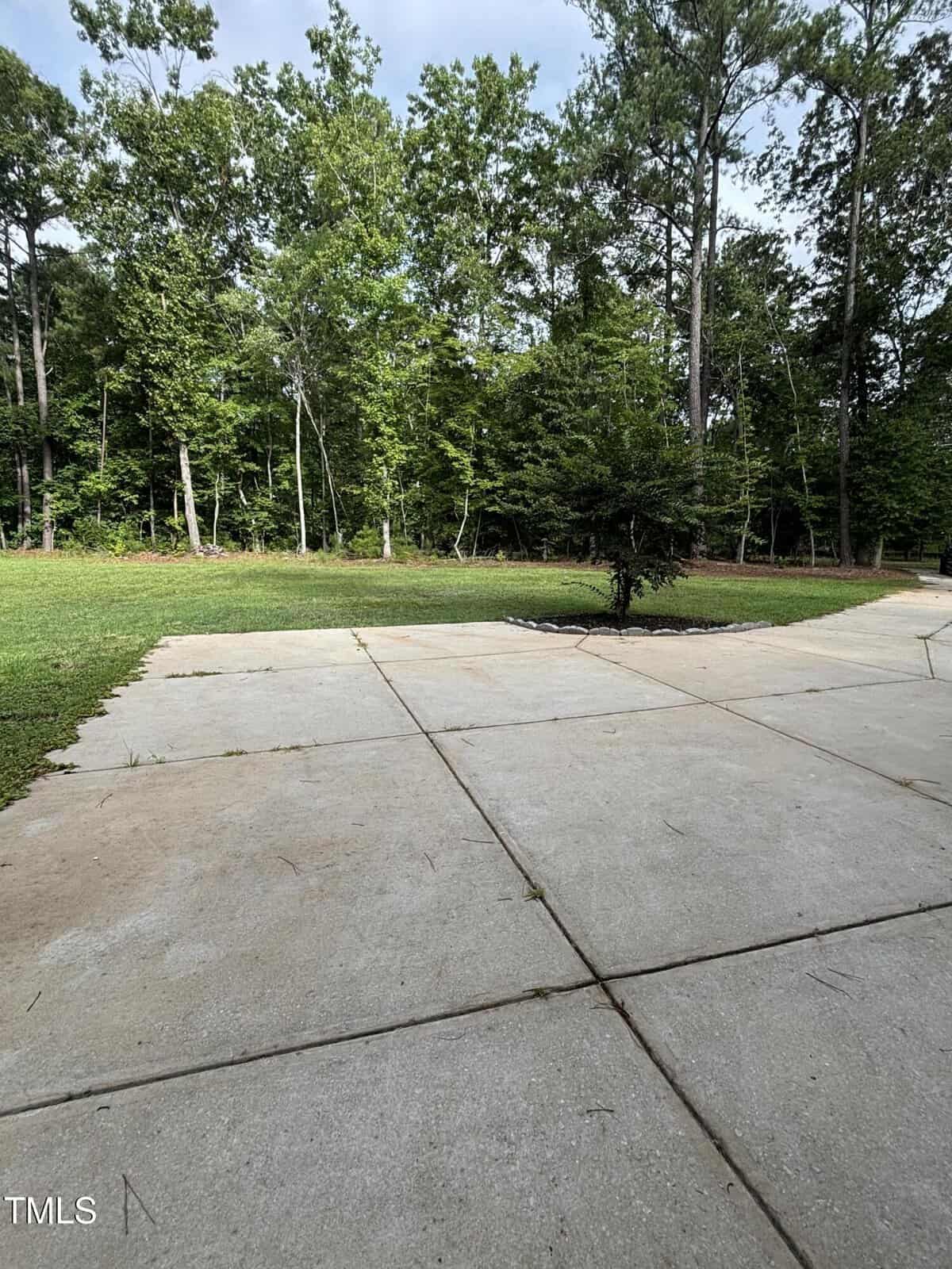 Concrete patio with a small tree planted in a circular bed near the center. The patio is bordered by grass and surrounded by tall trees, with a partly cloudy sky overhead. The image is marked with “TMLS” in the corner.