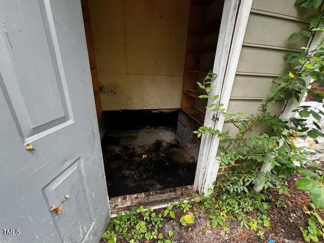Open door reveals a small, cluttered shed with dirty floors, yellowed walls, exposed shelves, and some debris. Green plants and leaves grow outside near the entrance.