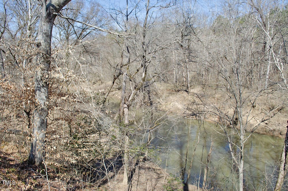 A leafless forest with a river running through it on a clear day. Trees surround the water, with brown leaves and bare branches visible. The sky is bright blue without clouds.