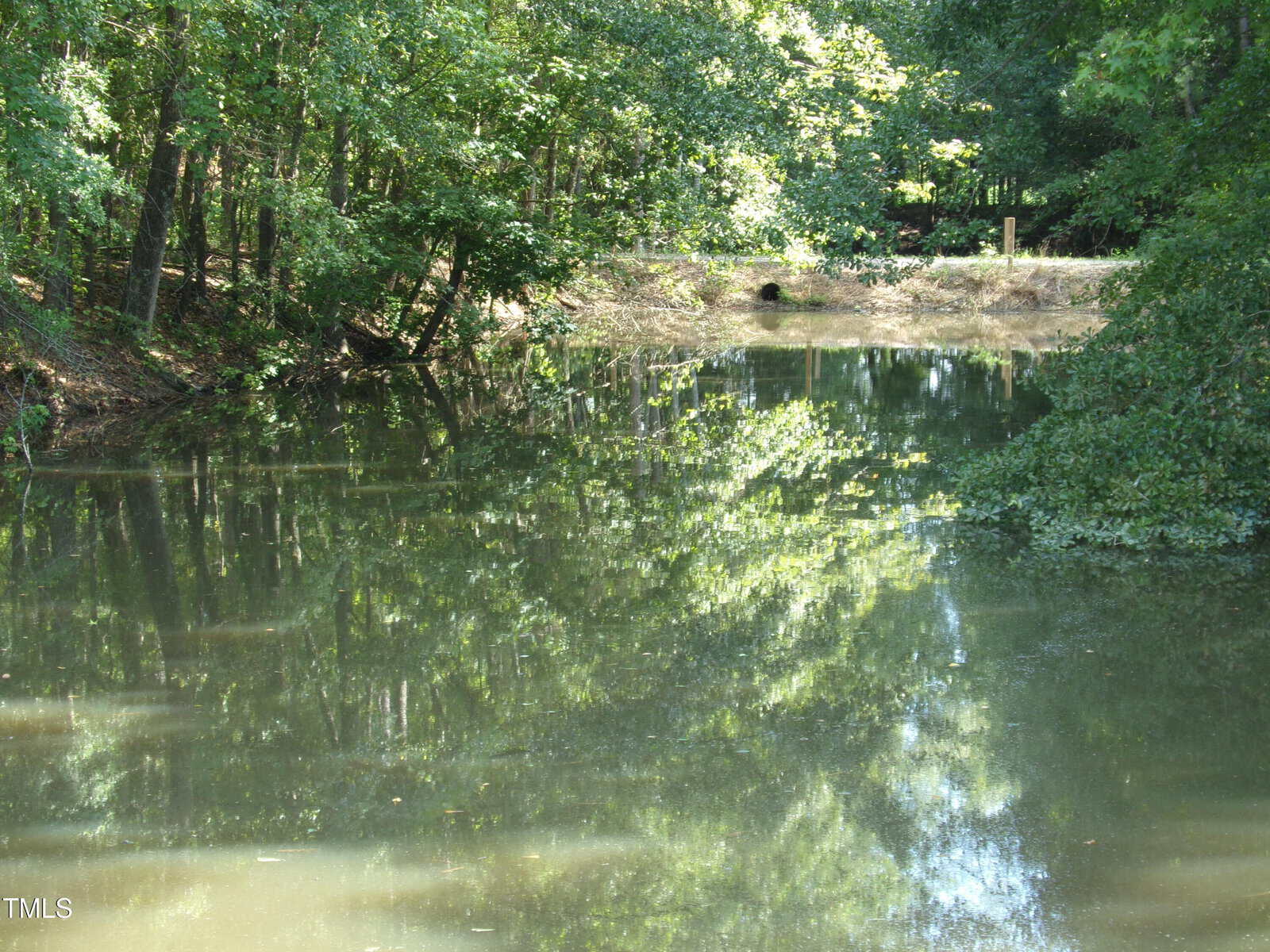 A small pond surrounded by dense green trees reflects the foliage. Sunlight filters through the tree canopy, and the water appears calm with a few visible ripples. The overall scene is quiet and natural.