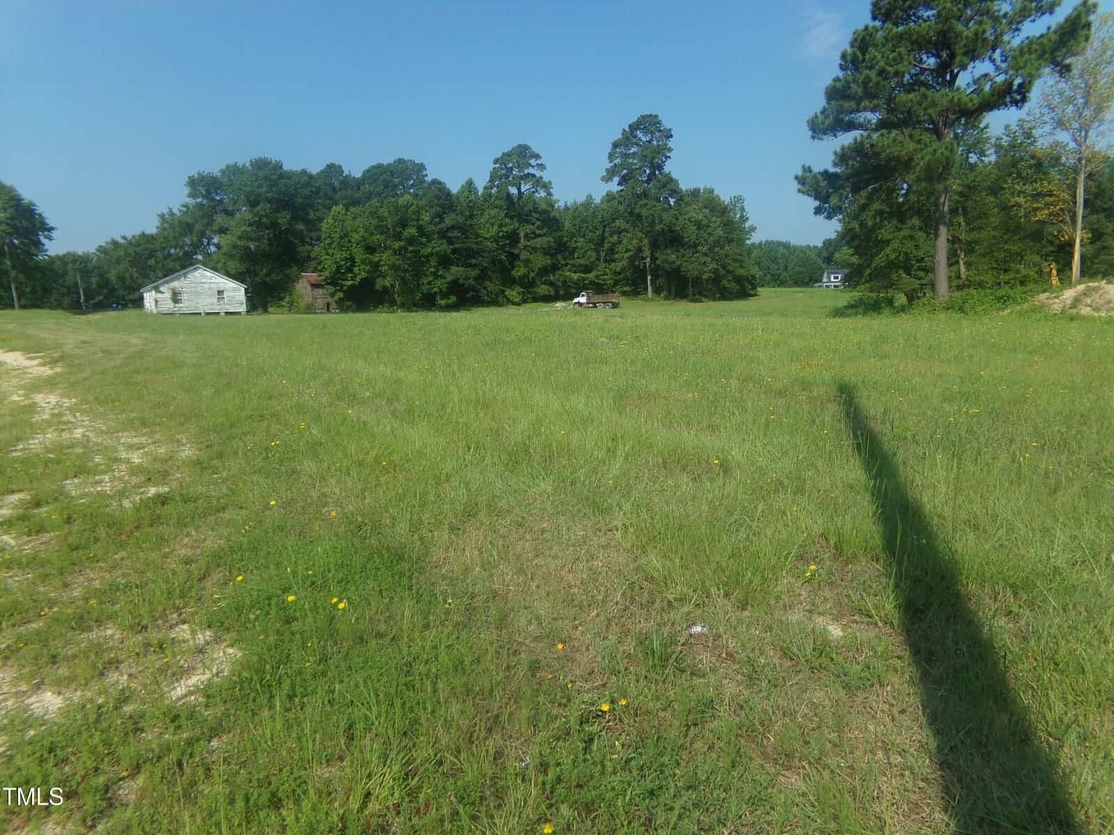 A grassy field with scattered yellow wildflowers, a white wooden house on the left, trees in the background, and a tall tree casting a long shadow across the grass under a clear blue sky.