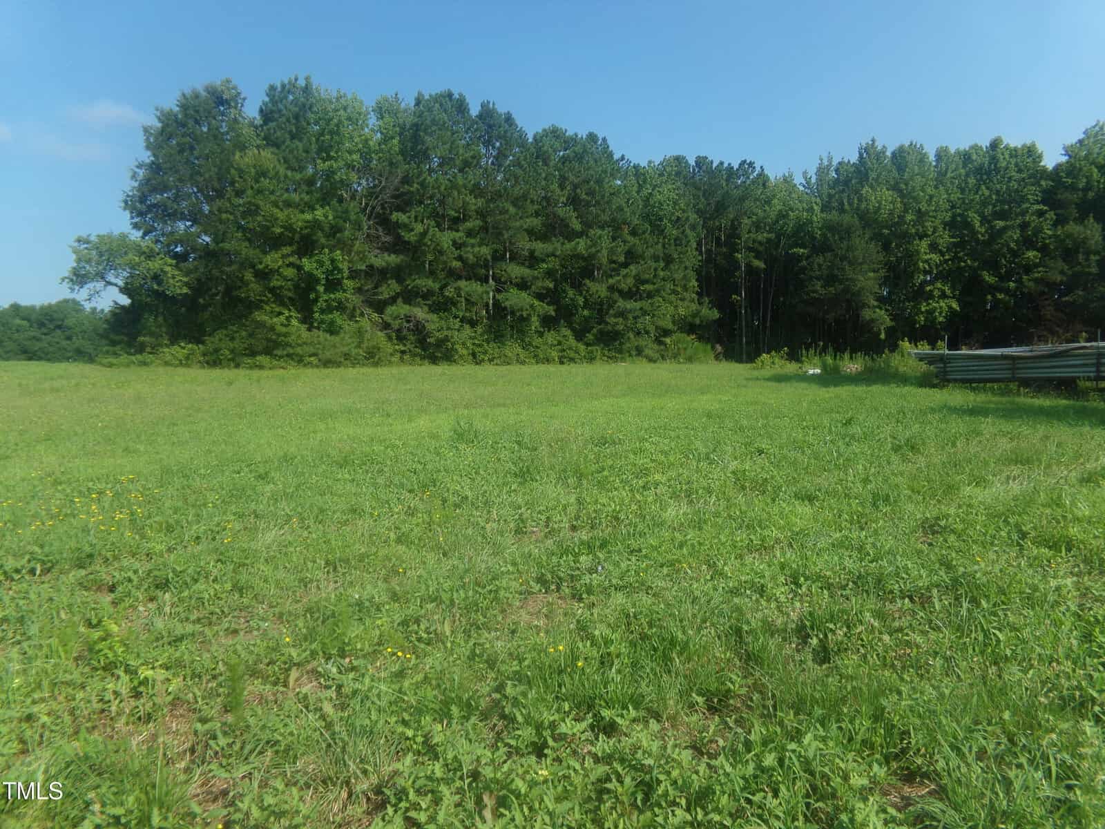 A grassy field with trees in the background.