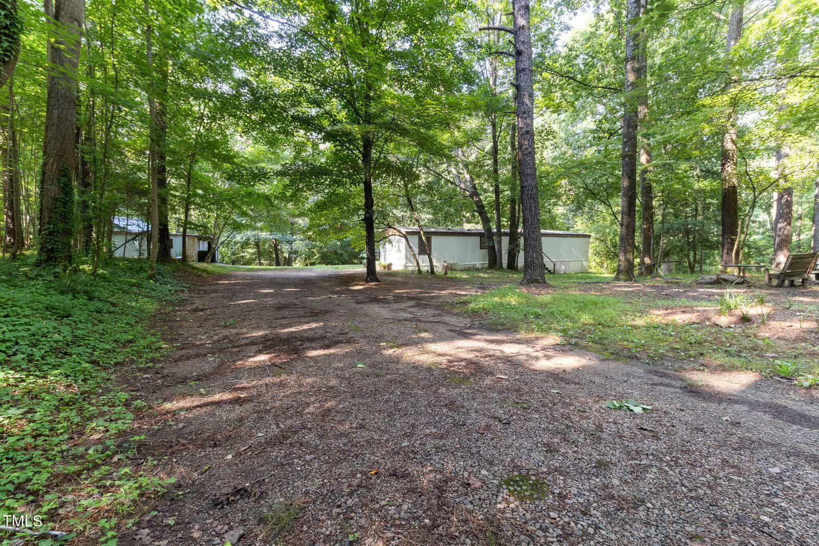 A gravel driveway leads to two light-colored outbuildings surrounded by tall green trees and dense forest. Sunlight filters through the leaves, creating dappled shadows on the ground.