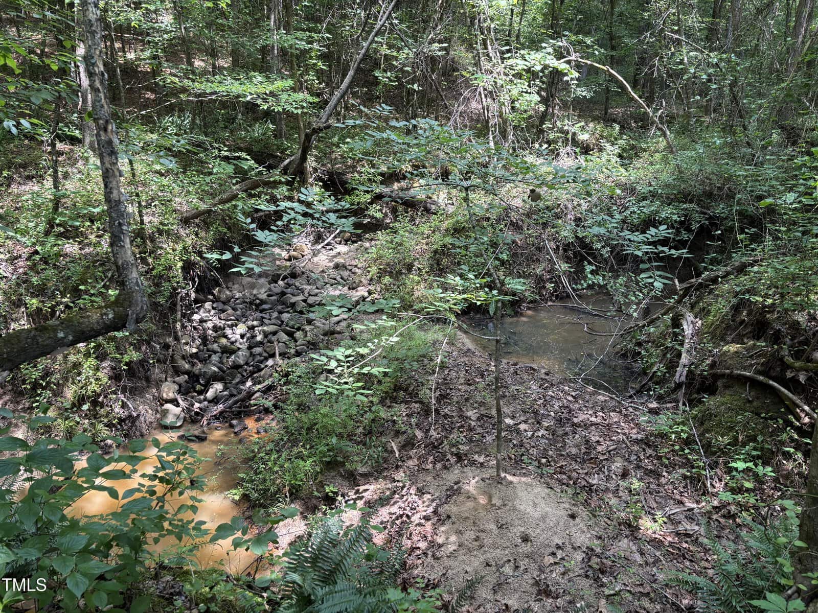 A small creek flows through a forested area with dense green foliage, patches of sunlight, a rocky section, and muddy water visible along the banks.