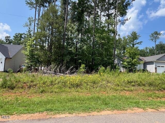 A vacant lot with overgrown grass and yellow wildflowers sits between two houses, bordered by tall pine trees under a partly cloudy sky.