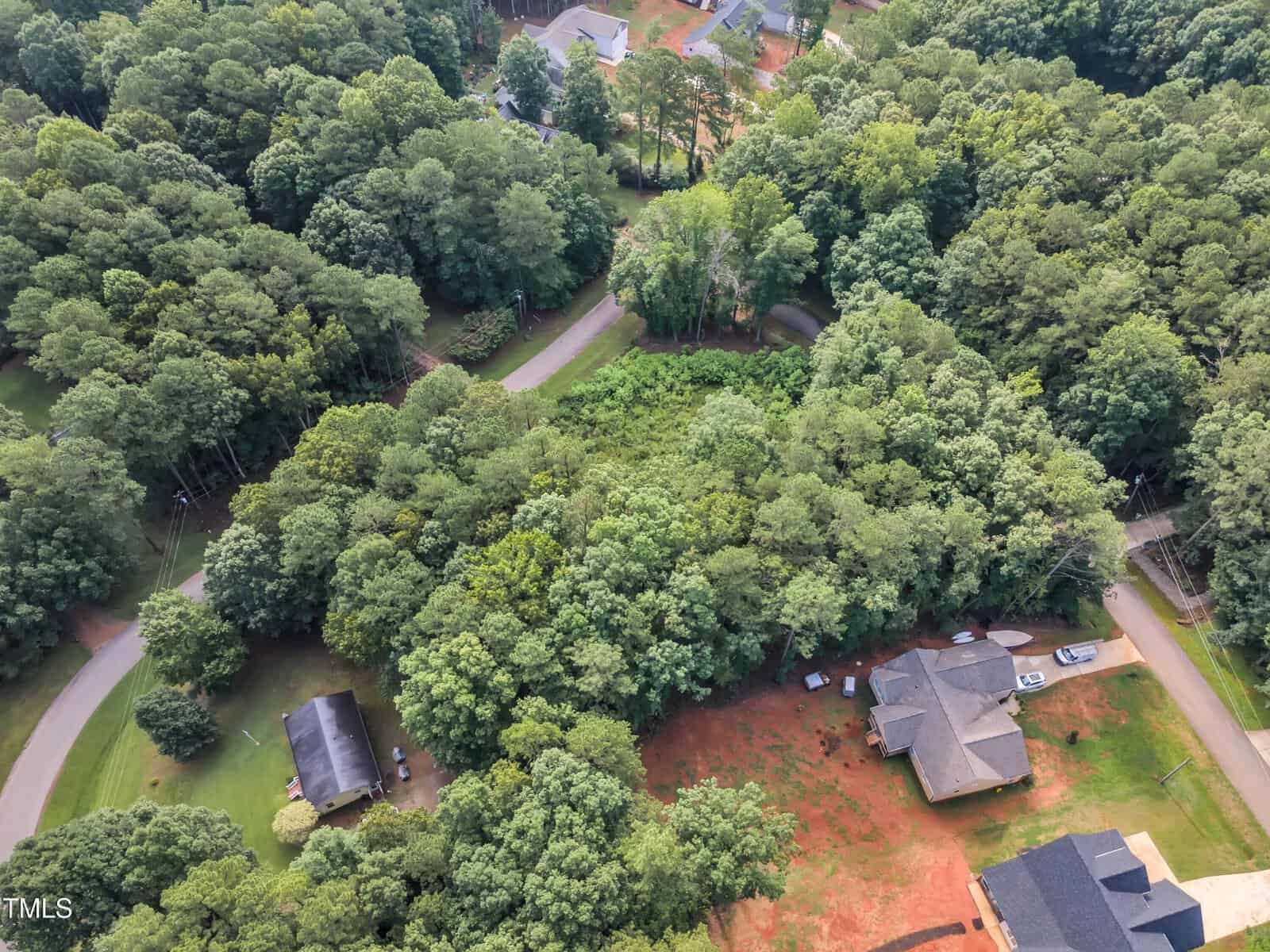 Aerial view of a wooded suburban area with curved roads, a few houses with driveways, and a large patch of dense trees surrounded by grass and scattered dirt patches.