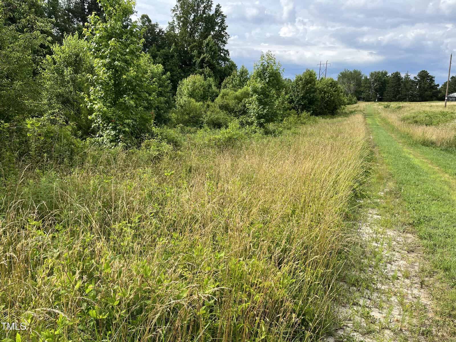A grassy path runs alongside tall grass and dense green trees under a partly cloudy sky, with power lines visible in the distance on the right side.