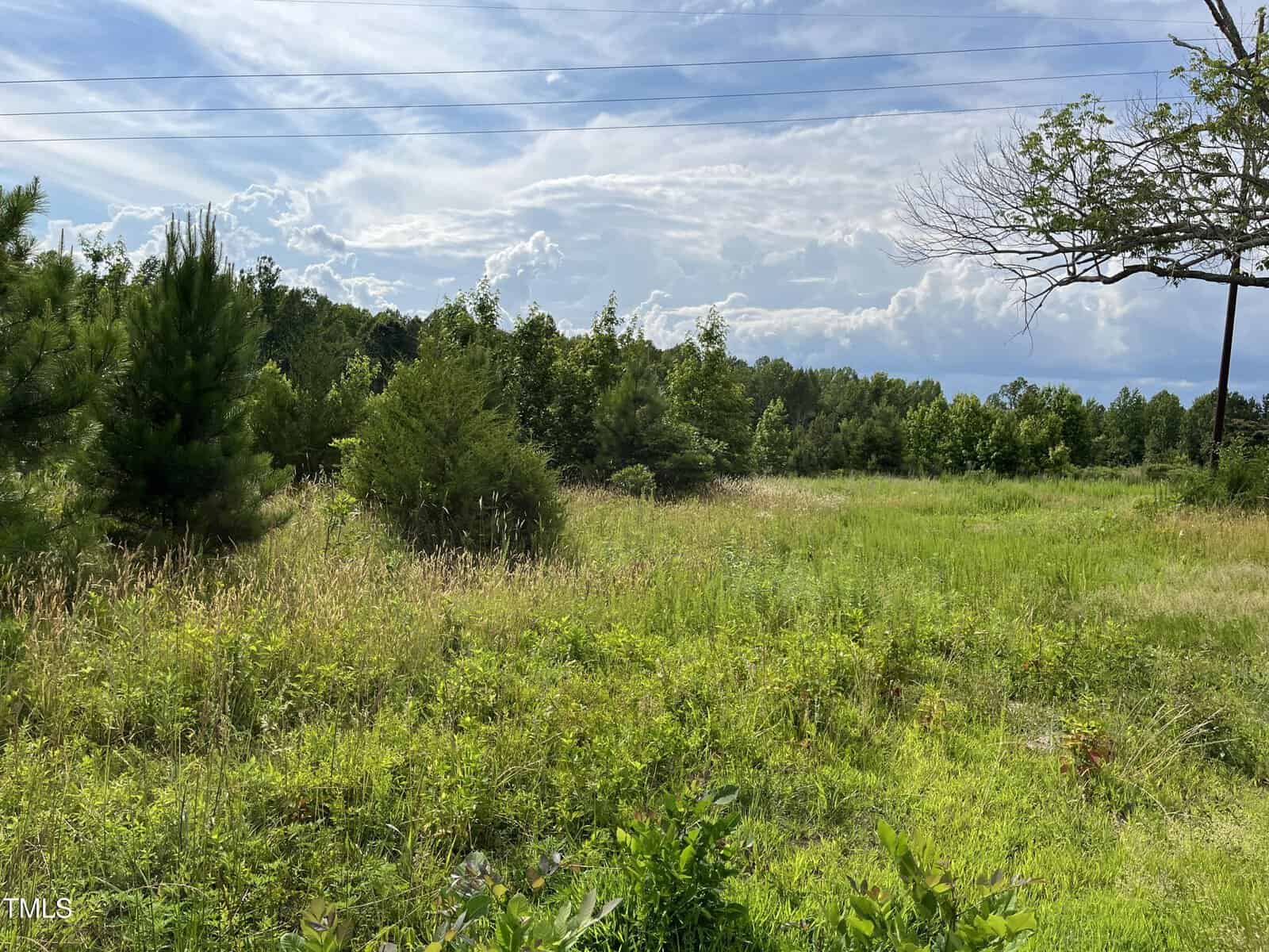 A grassy field with patches of tall and short green vegetation, a few small trees, and a leafless tree on the right. Dense forest lines the background under a partly cloudy sky with visible power lines overhead.