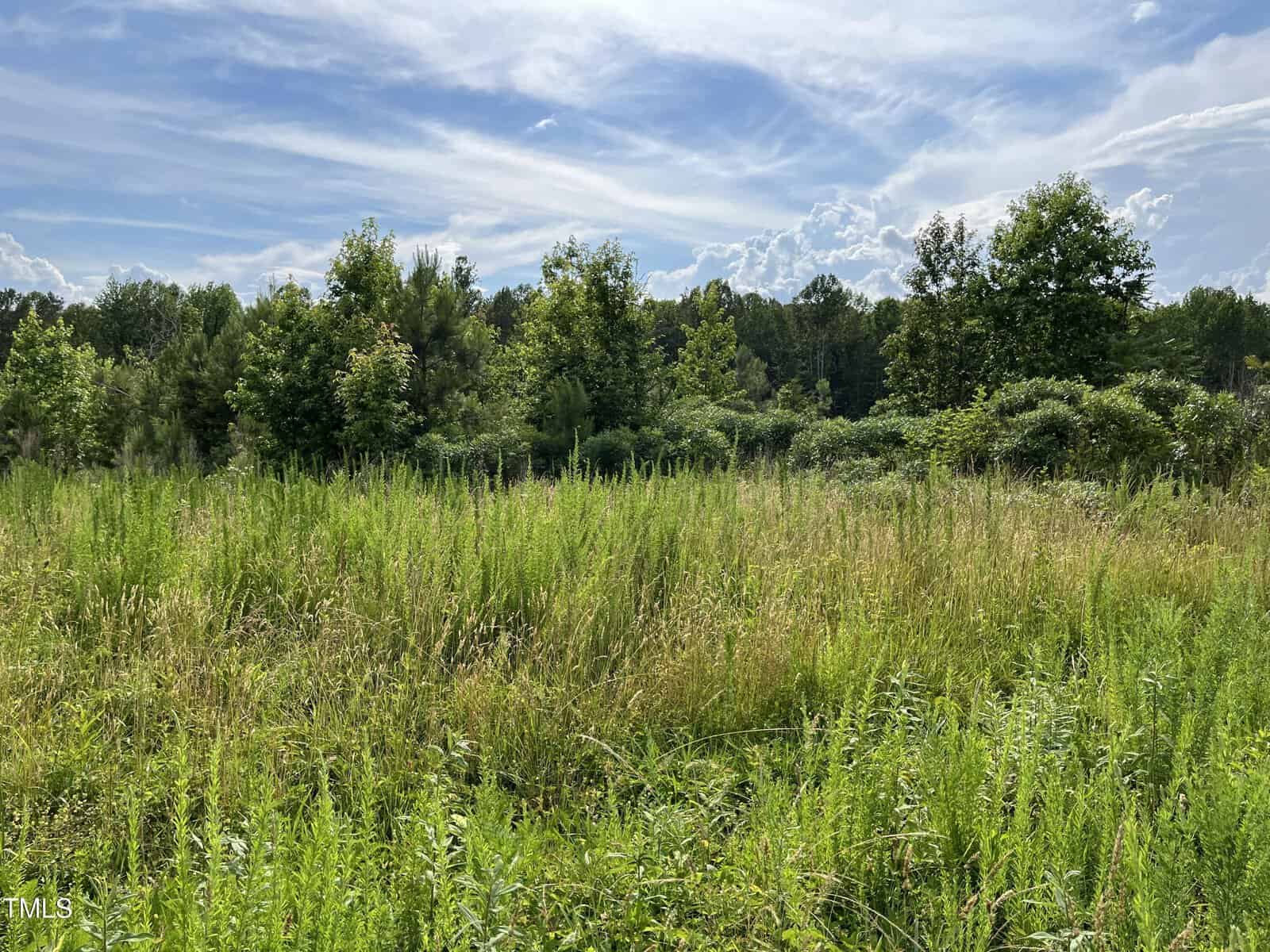 A grassy field with tall green plants and wild grasses in the foreground, dense trees and shrubs in the background, and a partly cloudy blue sky overhead.