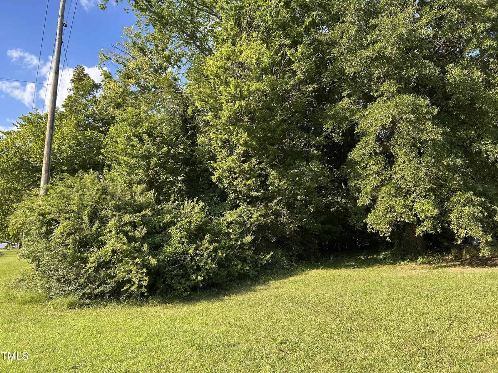 A power pole stands near dense green bushes and tall trees on a sunny day at 384 N Bickett Boulevard in Louisburg, with a patch of grass in the foreground and a clear blue sky with a few clouds in the background.