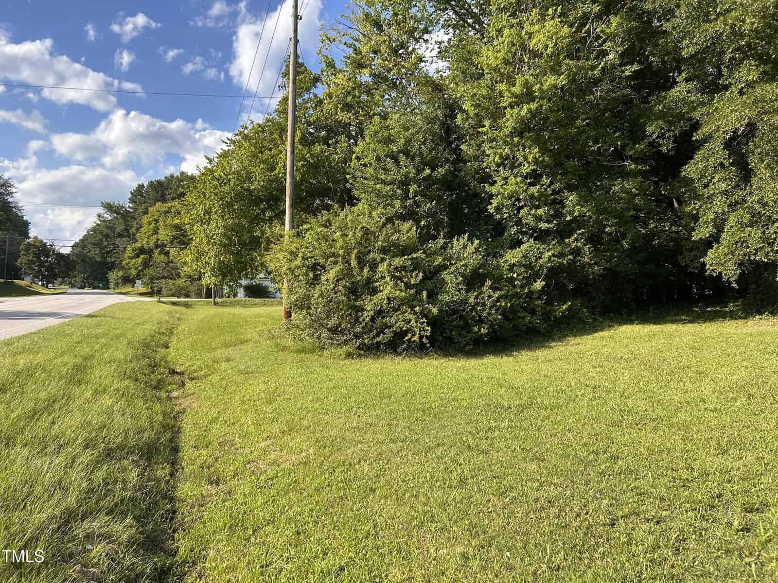 A grassy lot next to a road, featuring a wooden utility pole and a dense line of mature green trees under a partially cloudy blue sky.