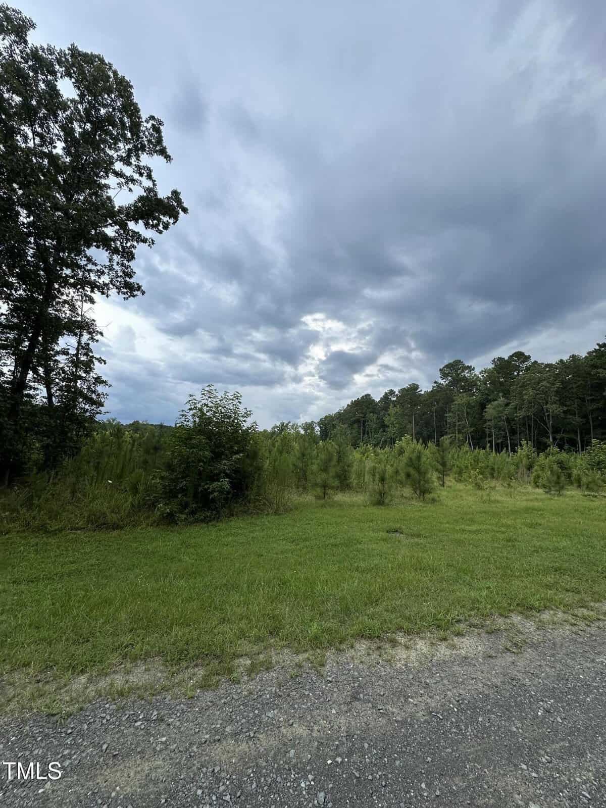 A grassy area with scattered small trees and bushes under a cloudy sky. The foreground has a gravel path, and dense forest lines the background. The scene appears calm and natural.
