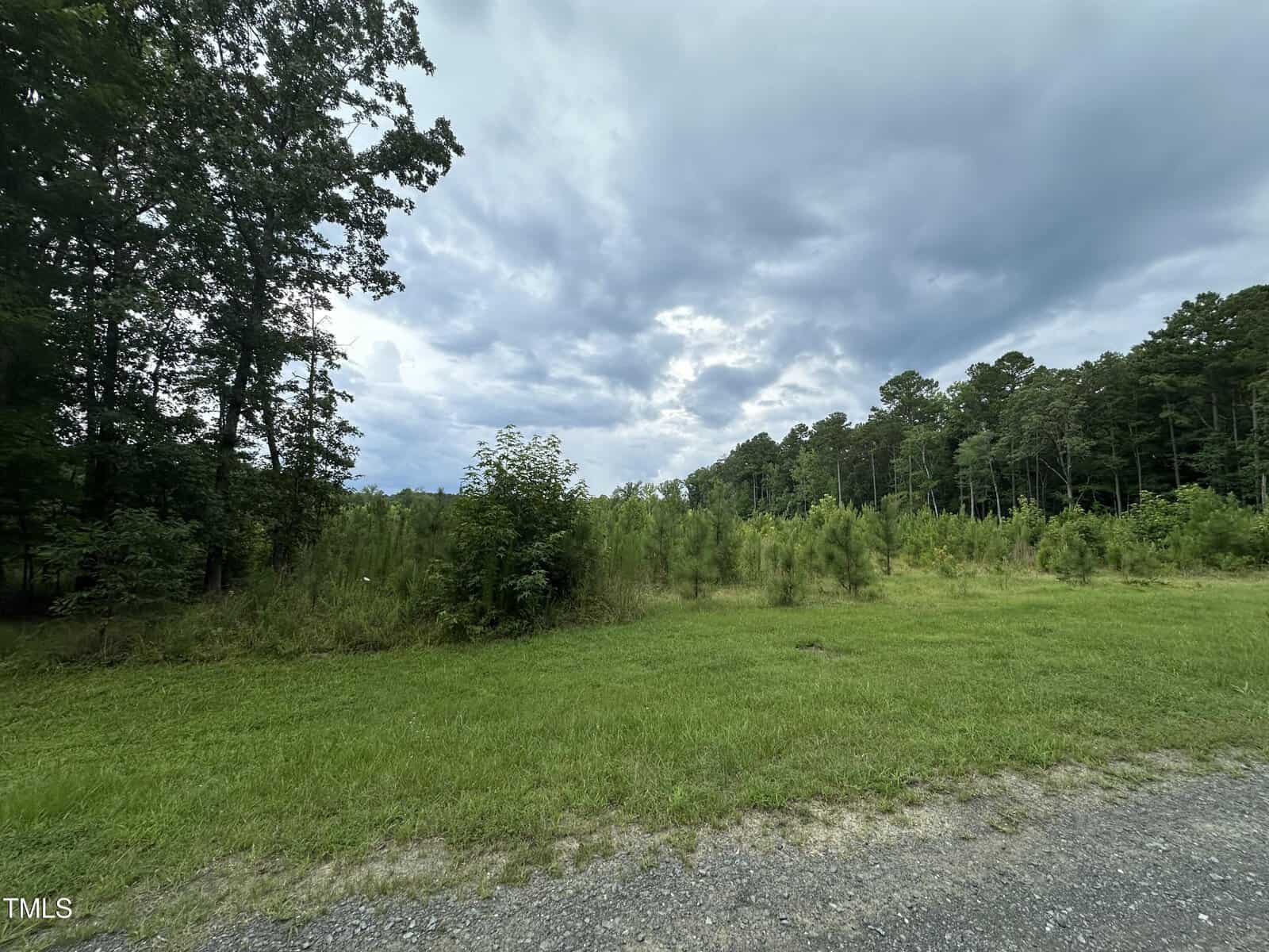 A grassy open area bordered by tall trees and shrubs under a cloudy sky. The ground transitions from gravel in the foreground to grass and dense vegetation.