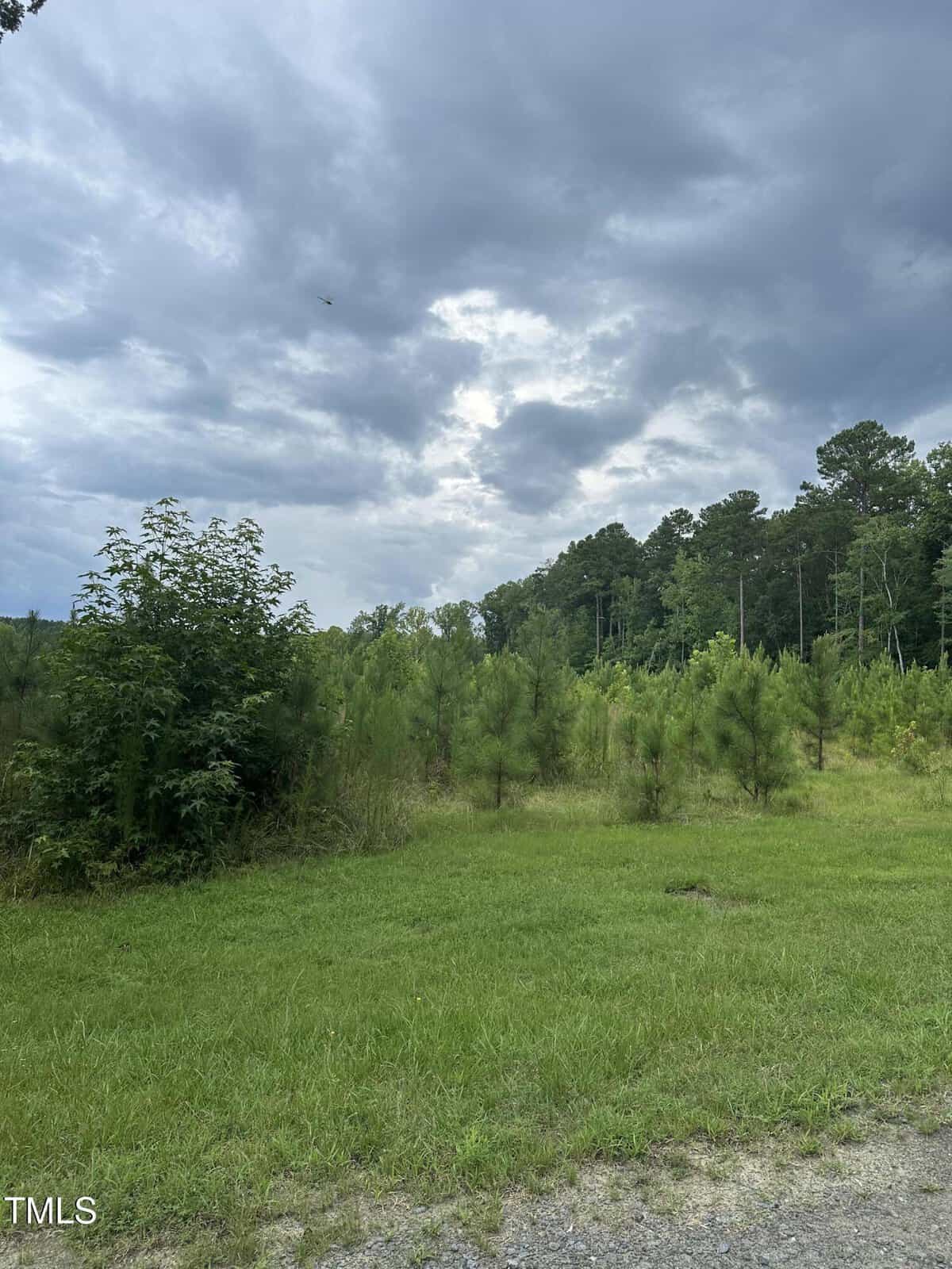 A grassy area with small trees and bushes in the foreground, taller trees in the background, and a cloudy sky overhead. The scene appears to be outdoors in a rural or undeveloped area.