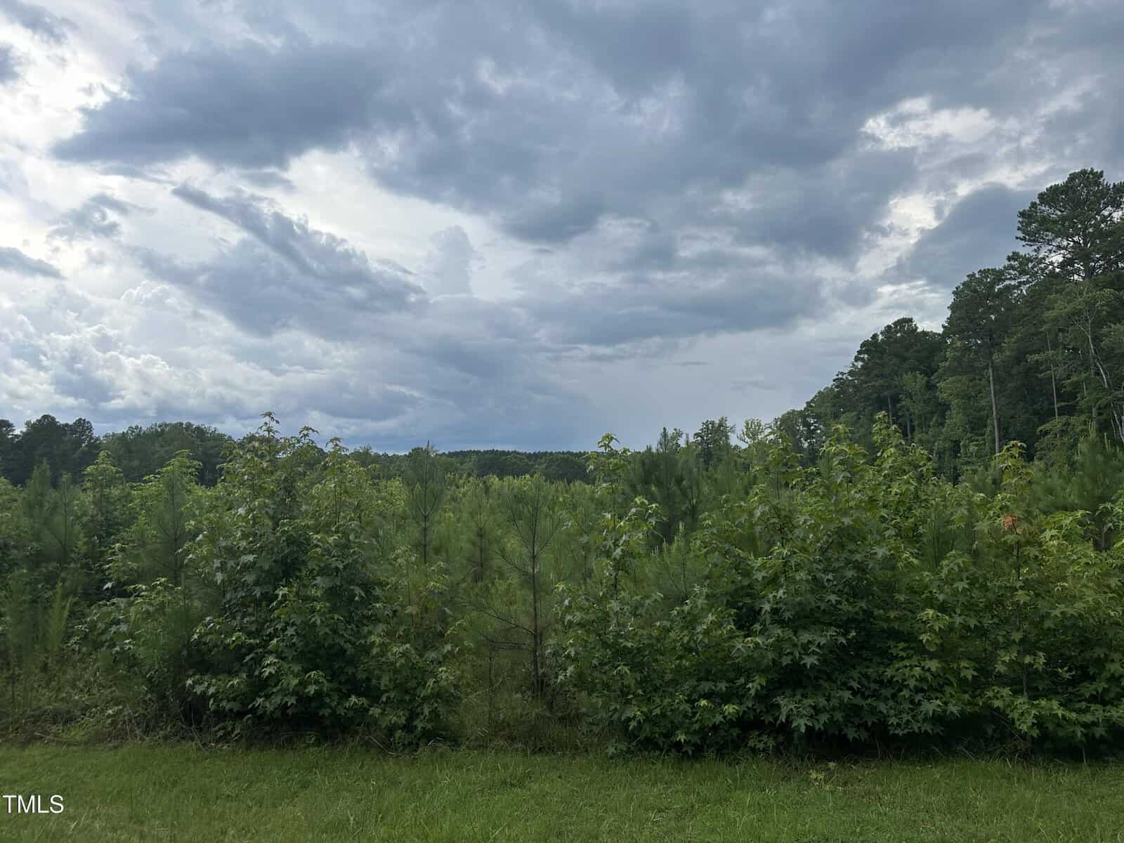 A grassy area with dense green bushes and young trees in the foreground, mature trees in the background, and a cloudy sky overhead.