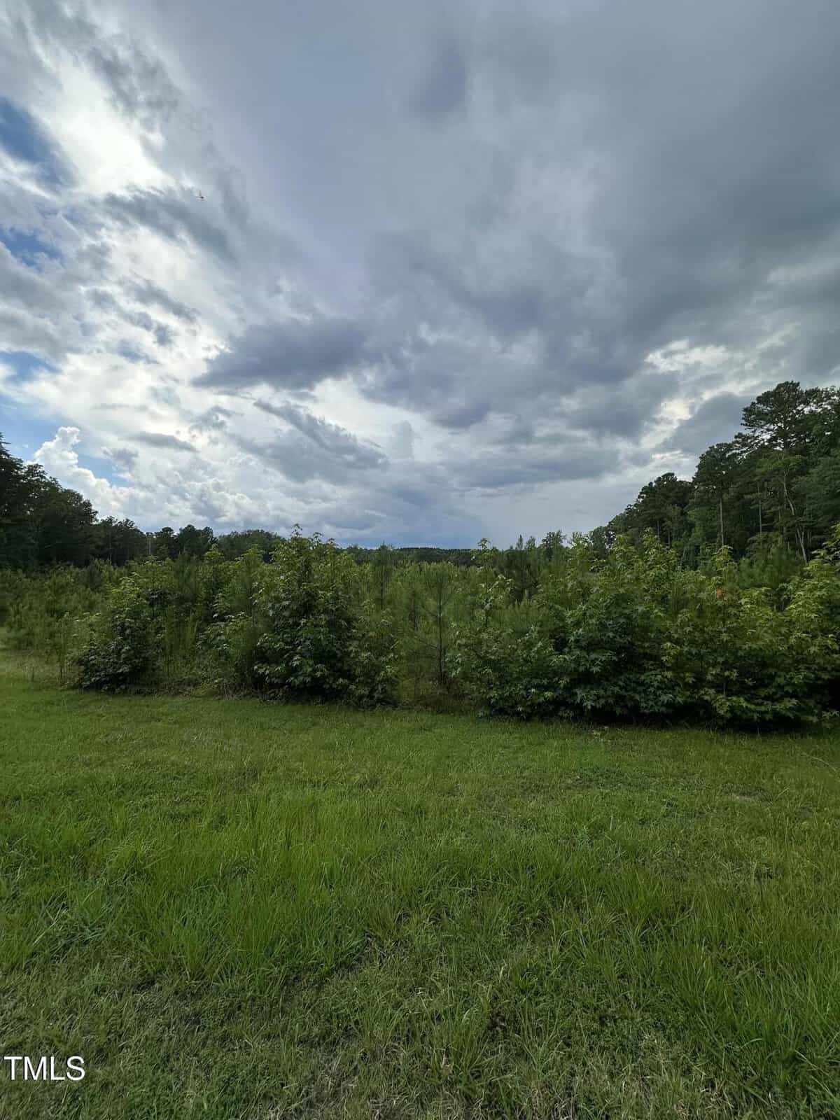 A grassy field with dense green shrubs and trees under a cloudy sky. The landscape appears flat with a few forests in the background. The image is labeled with "TMLS" in the bottom left corner.