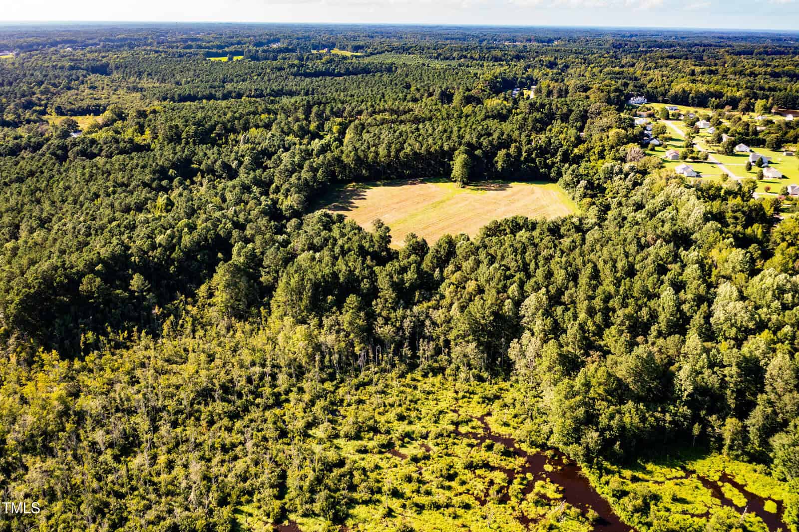 Aerial view of a large, densely forested landscape with a clearing in the center, a small creek in the foreground, and scattered houses on the right side under a blue sky.