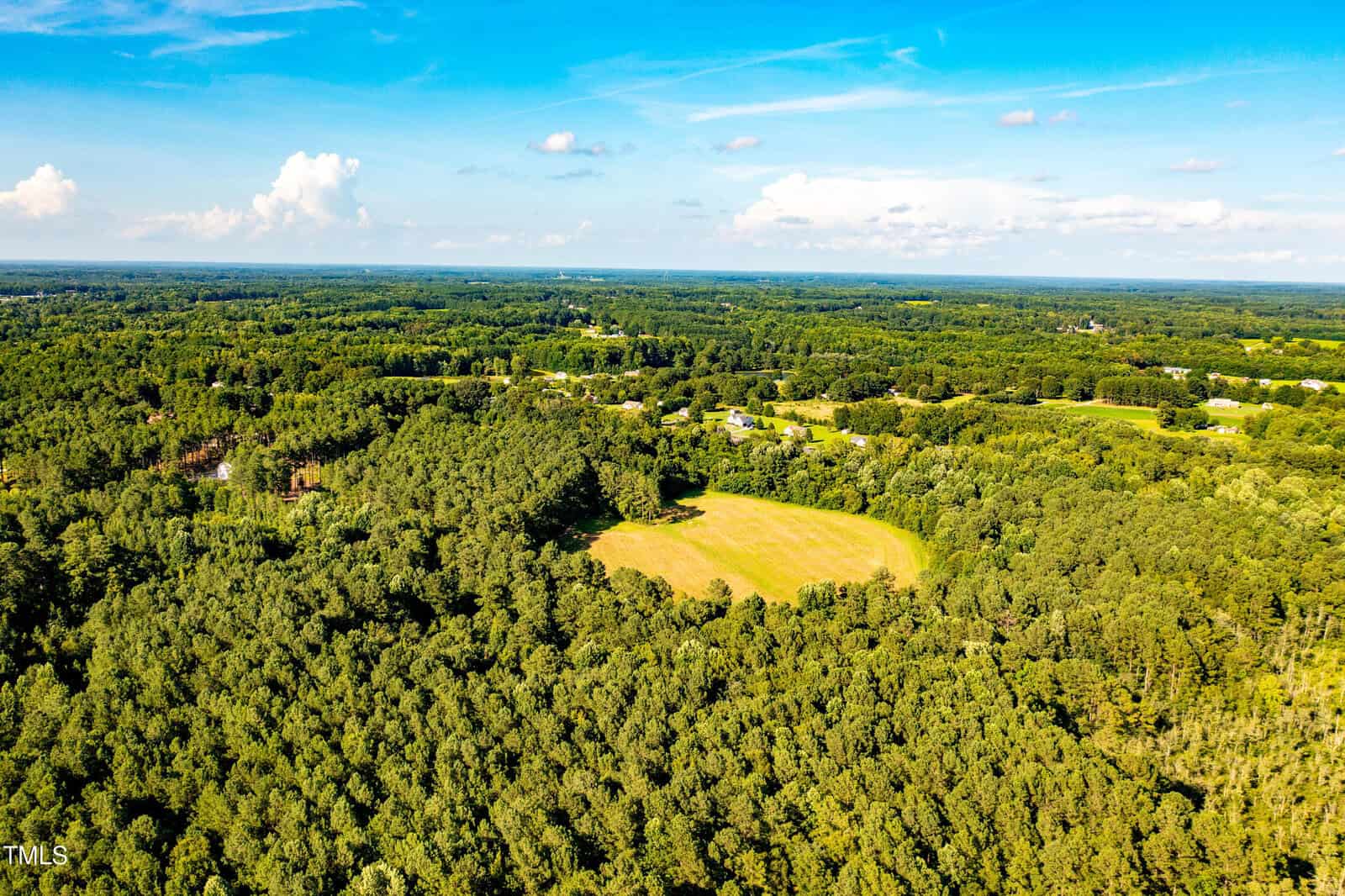 Aerial view of a lush, green forest with a large, grassy clearing in the center under a bright blue sky dotted with clouds. Scattered houses are visible in the distance beyond the trees.