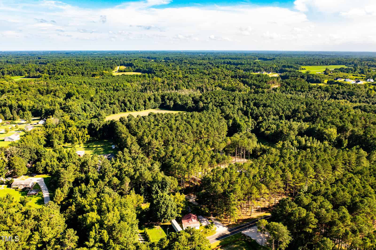 Aerial view of a lush, green forest landscape with scattered homes and clearings under a bright blue sky with scattered clouds. Roads and buildings are visible among the dense trees.