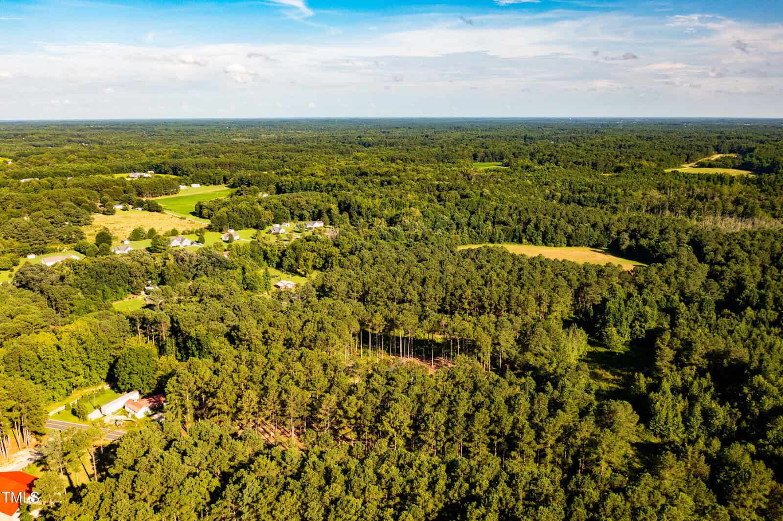 Aerial view of a rural landscape featuring dense green forests, scattered houses, open fields, and a clear blue sky with light clouds.