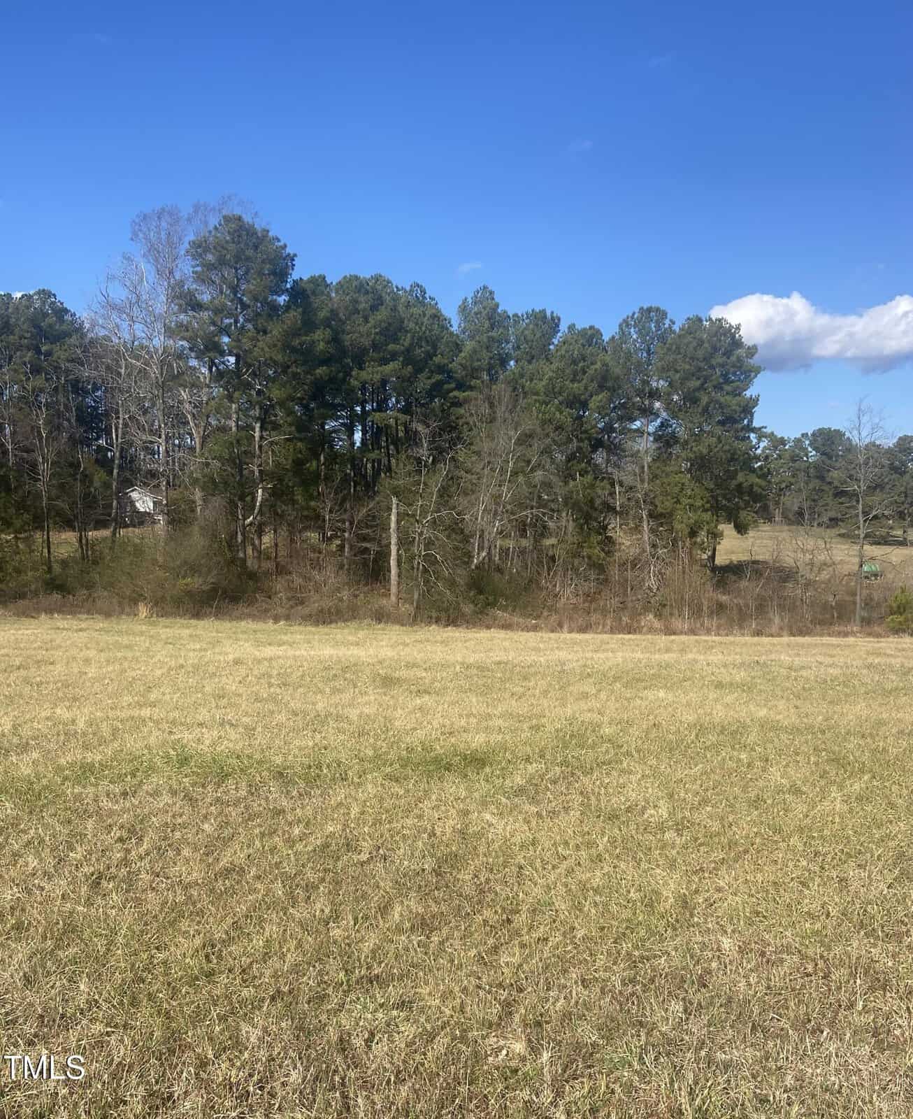 A grassy field stretches out under a clear blue sky with a line of tall trees and some sparse brush in the background. A small house is partially visible among the trees to the left.