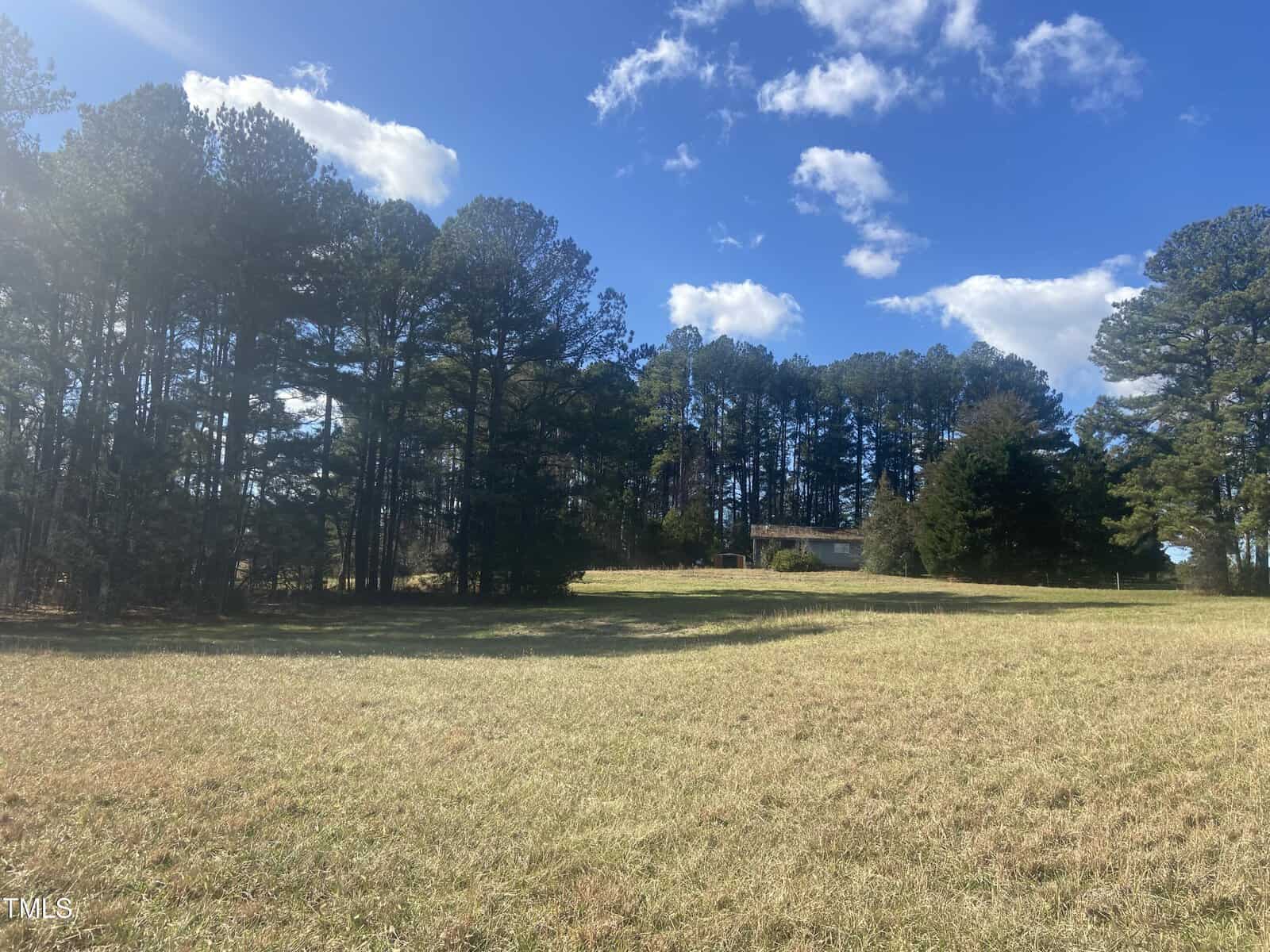 A grassy field with patches of sunlight and shadow, bordered by tall pine trees. A house is partially visible among the trees under a blue sky with scattered clouds.