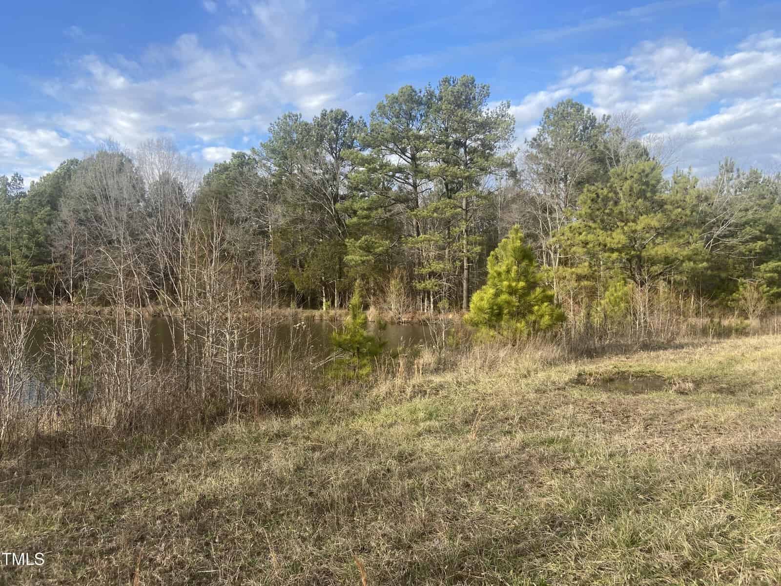 A grassy field with patches of dry grass in the foreground, a small pond in the middle, and trees, some leafless and some evergreen, in the background under a partly cloudy blue sky.