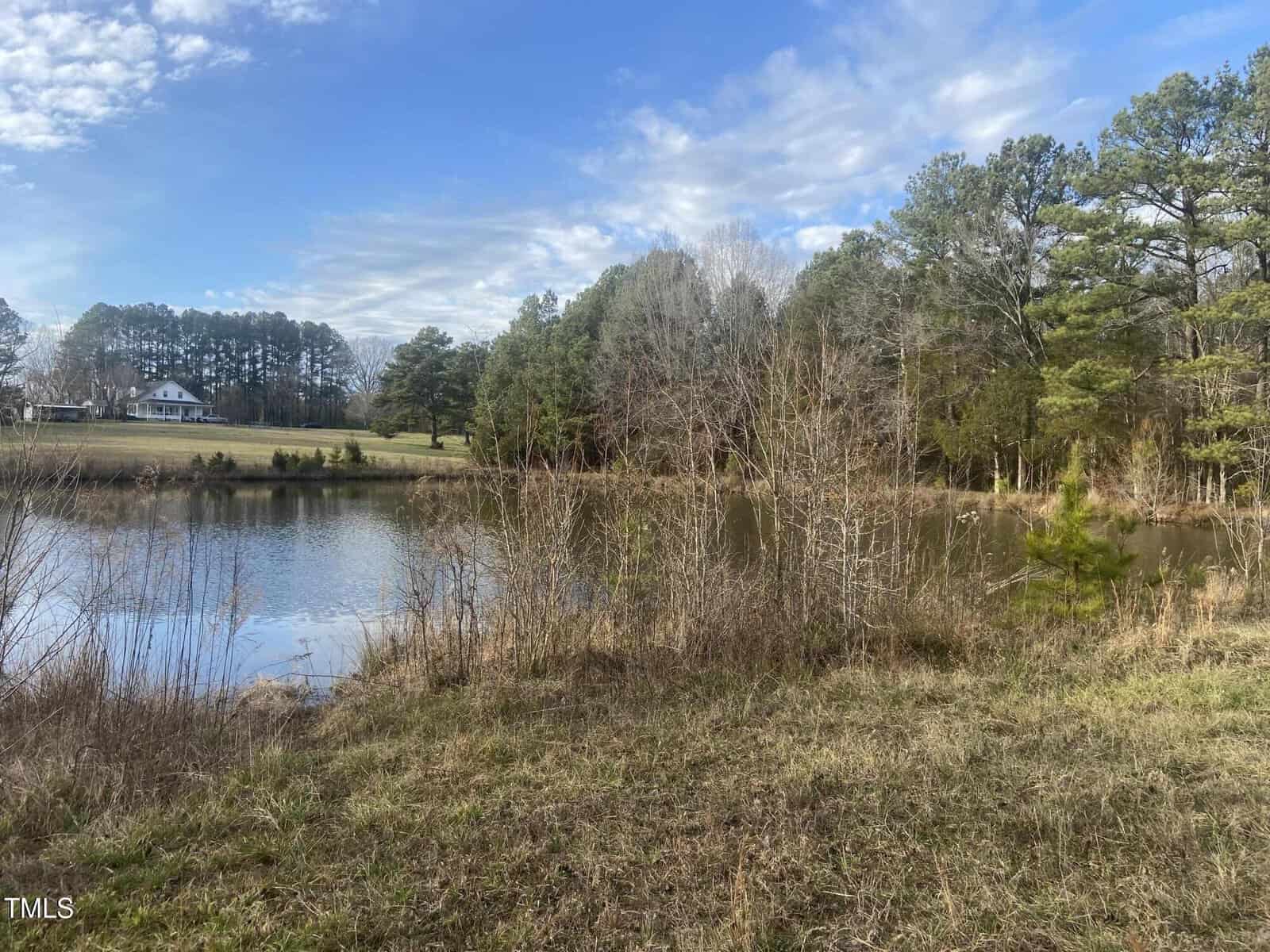 A small pond is surrounded by grass, shrubs, and trees under a partly cloudy sky. In the background, there is a white house and open field bordered by more trees.