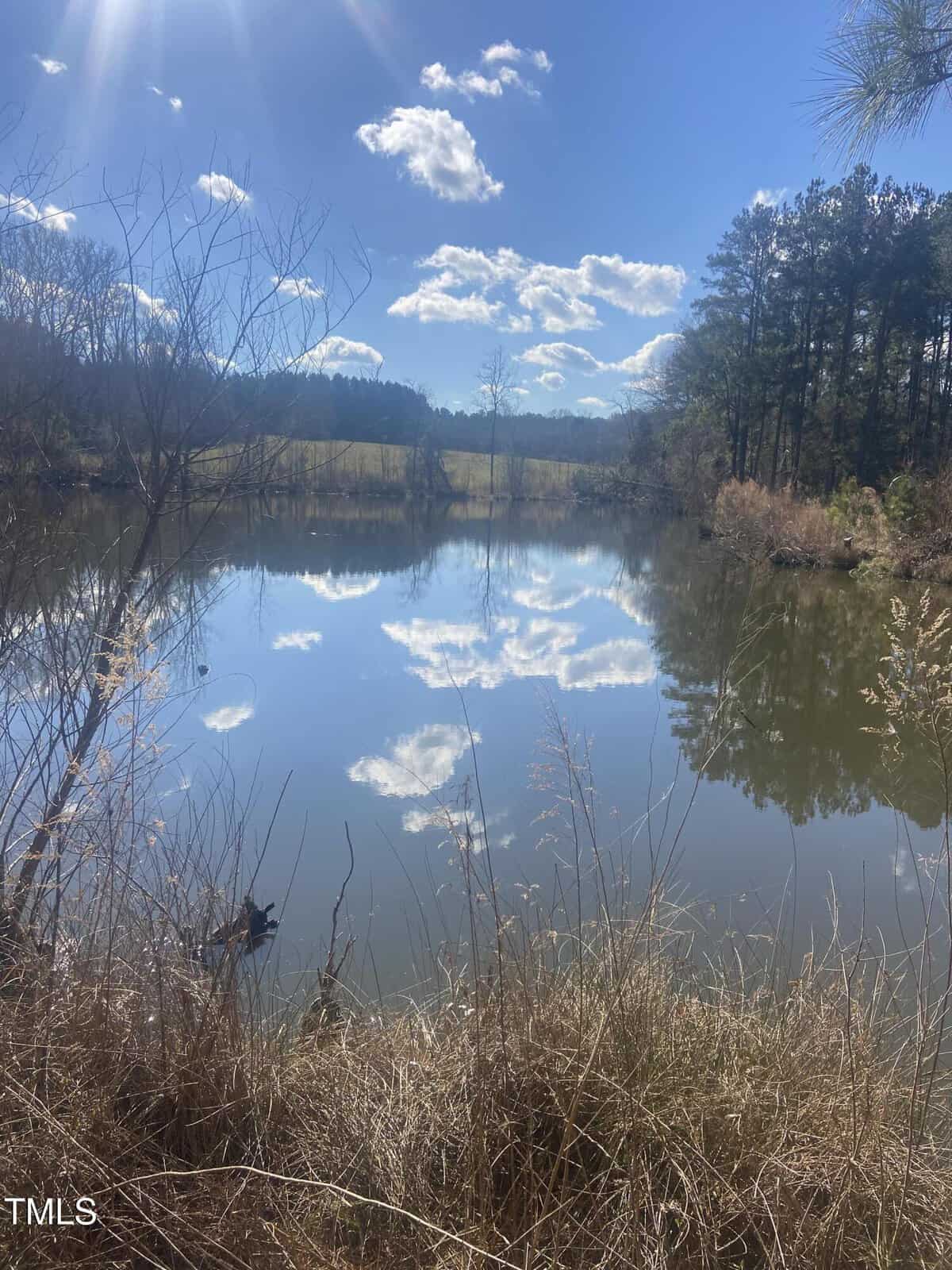 A pond surrounded by dry grass and trees reflects a blue sky with scattered clouds. Bare branches and pine trees are visible around the water's edge. Sunlight casts shadows across the scene.