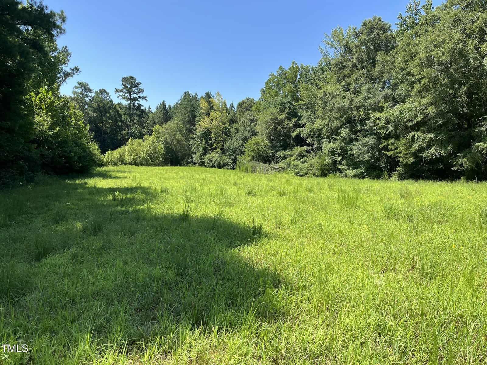A grassy clearing at 21.04 Bennett Road in Creedmoor boasts bright green grass surrounded by dense trees under a clear blue sky. On this sunny day, the left side of the clearing is partly shaded.