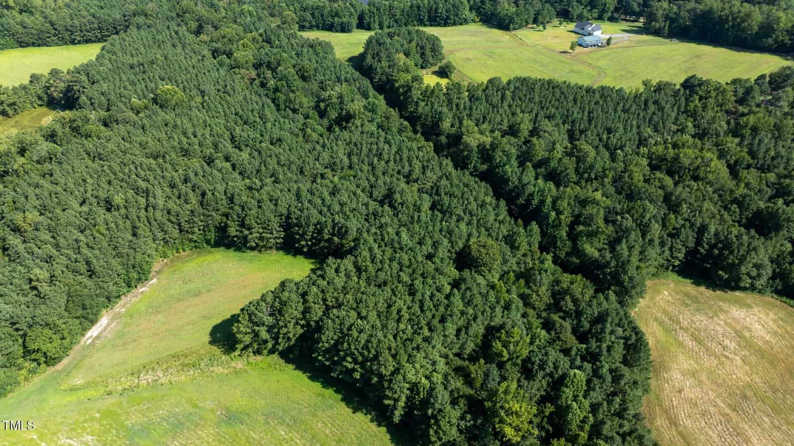 Aerial view of a dense, triangular-shaped forested area surrounded by open fields, with a house and additional trees visible in the background.