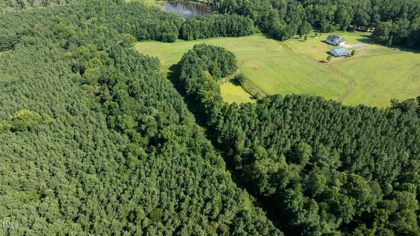 Aerial view of a rural landscape showing dense forest on the left, open grassy fields on the right, a small pond in the upper center, and a house with a barn near the edge of the trees.