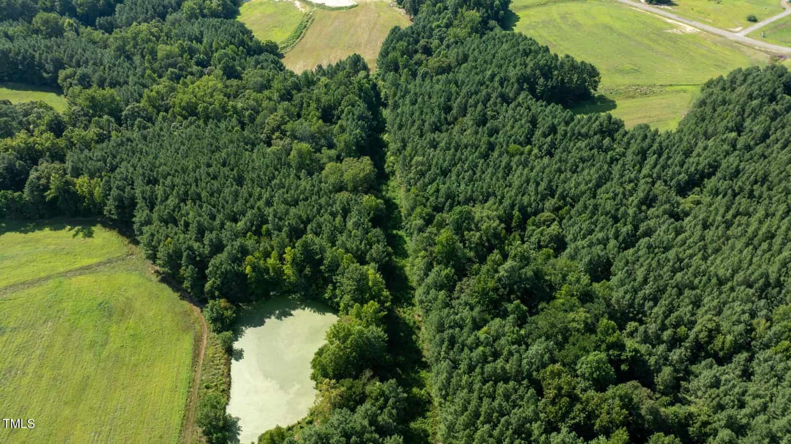 Aerial view of a landscape with dense green forest, a small pond with light-colored water, and open grassy fields bordered by trees. A road is visible in the top right corner.