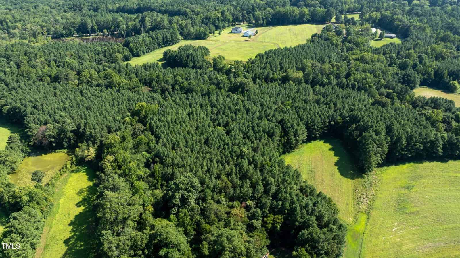 Aerial view of a large, densely wooded area surrounded by open grassy fields, with a few scattered buildings and trees visible in the distance.