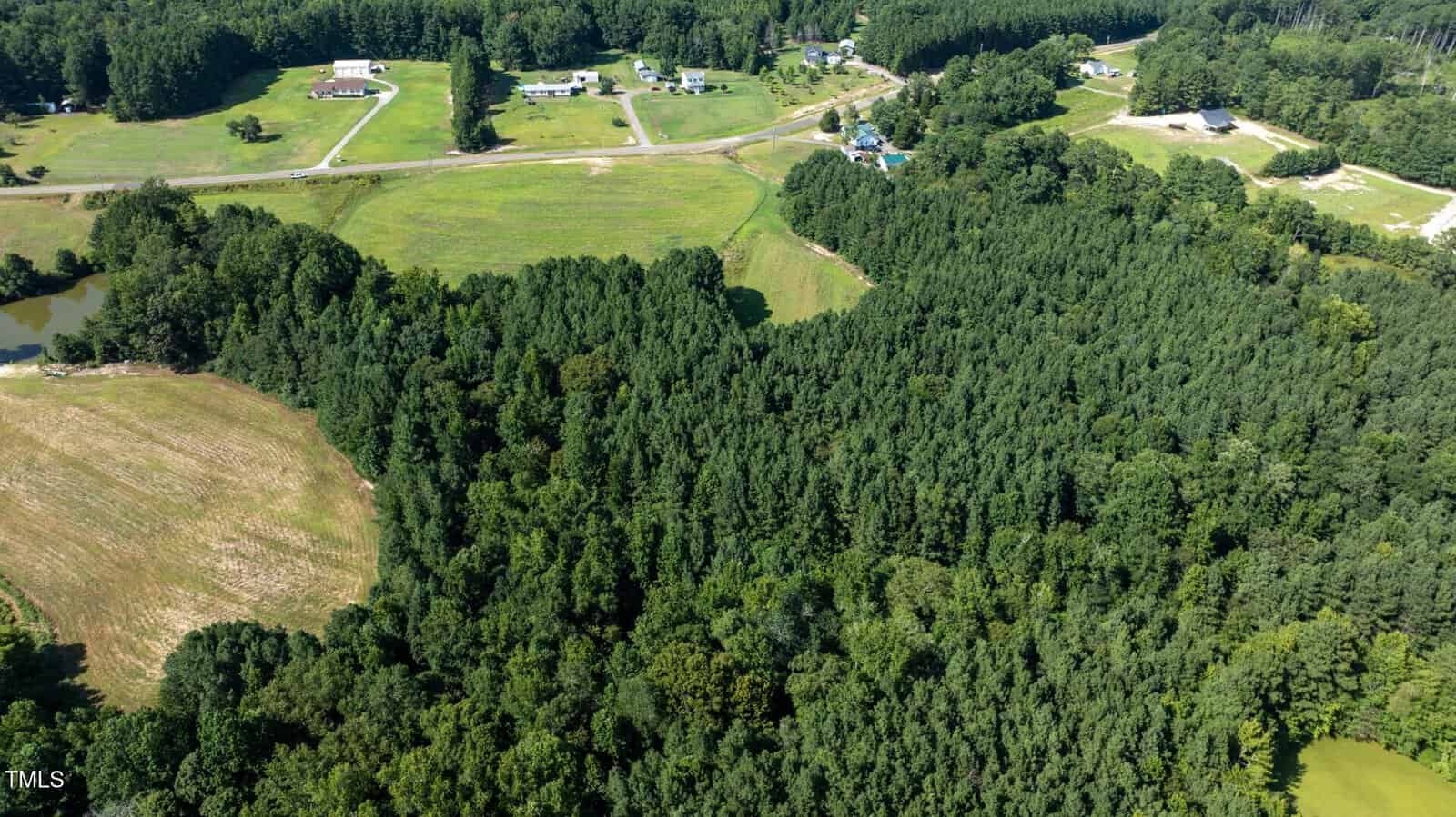 Aerial view of a rural area showing dense forest, open fields, several homes, and a road running through a grassy area bordered by trees.