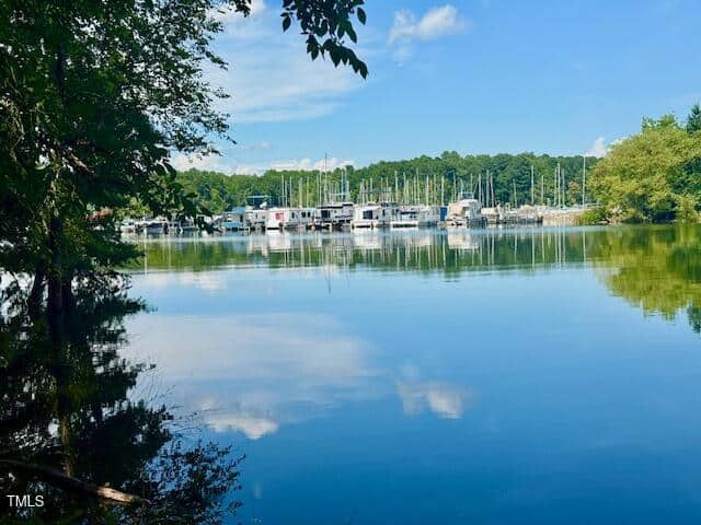 A calm lake with clear reflections of trees and boats docked at a marina, set against a backdrop of green forest and blue sky with scattered clouds. Branches frame the image from the left and top.