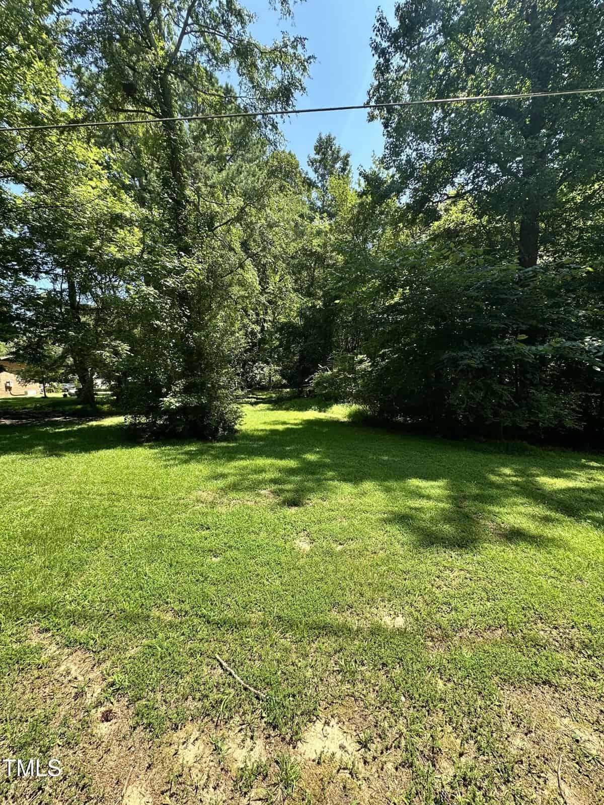 A grassy yard bordered by tall, leafy trees under a clear blue sky, with sunlight casting shadows on the lawn and a thin wire visible above.