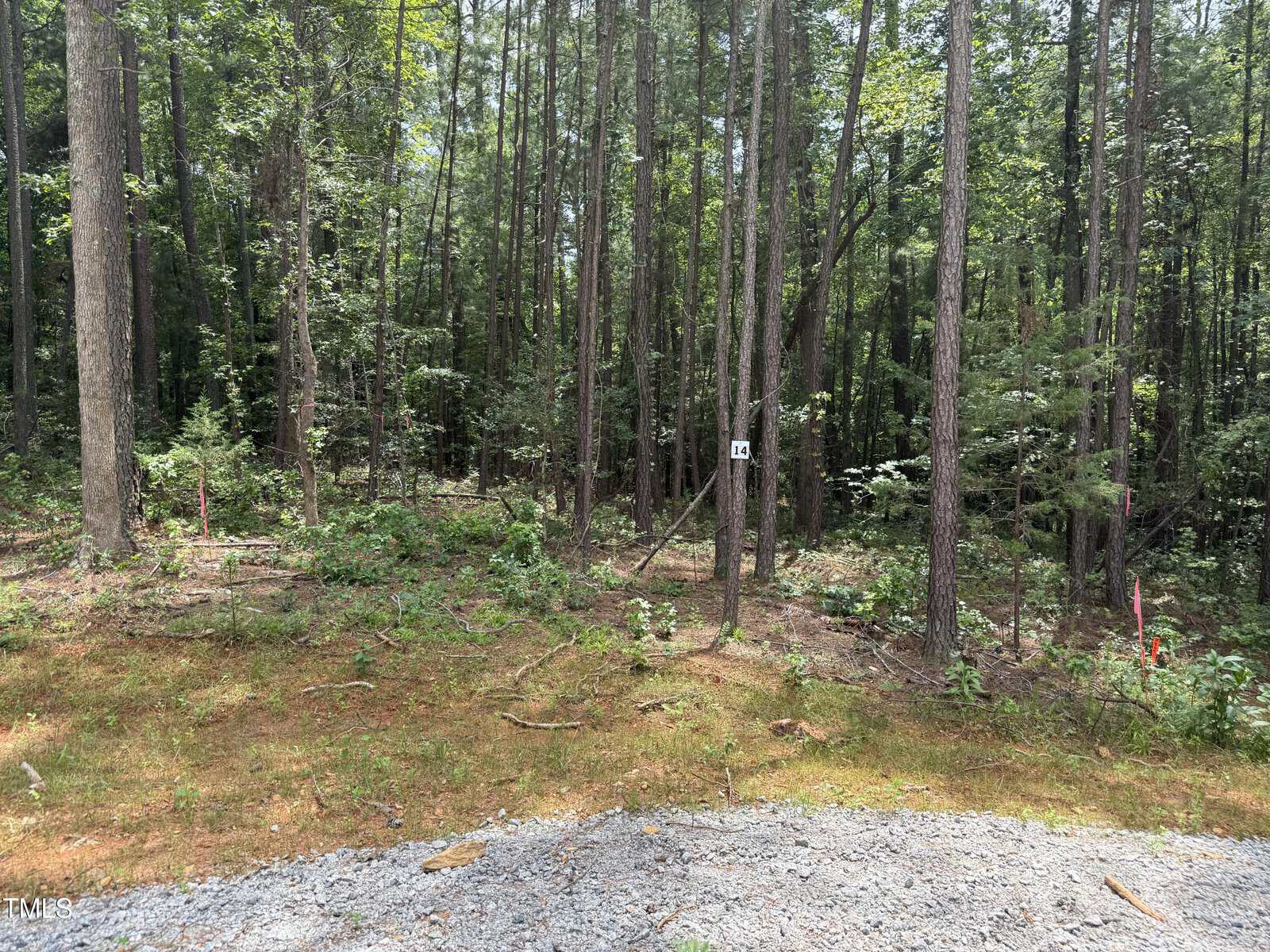 A wooded area with tall, thin trees and dense green foliage. The ground is partly covered in grass and leaves. Pink survey flags and a white sign with the number 10 are visible among the trees. Gravel is in the foreground.